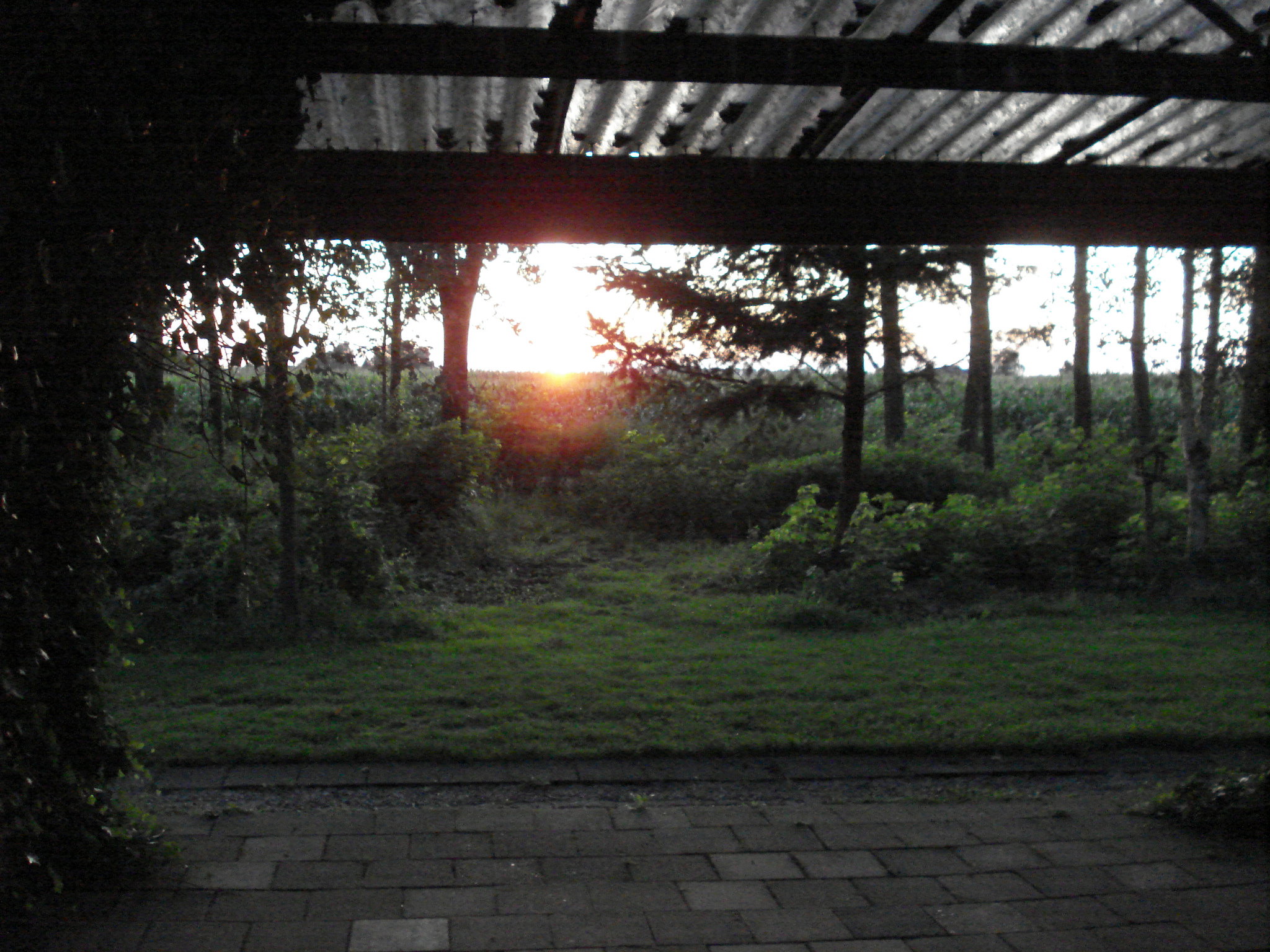- image: 16