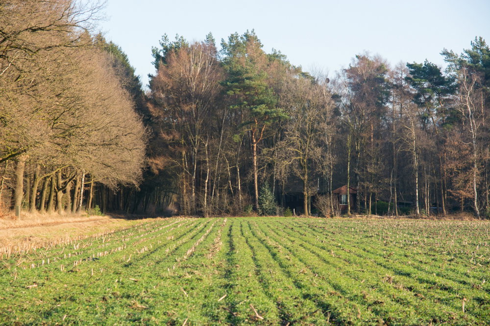 Maison nature à Ratum (Winterswijk)