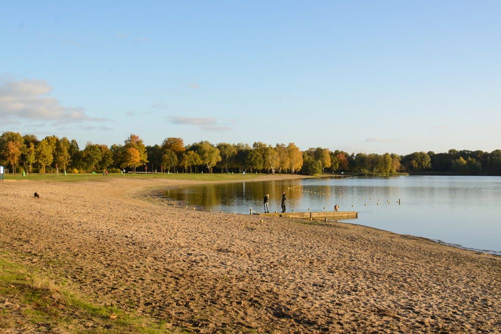 - image: 23