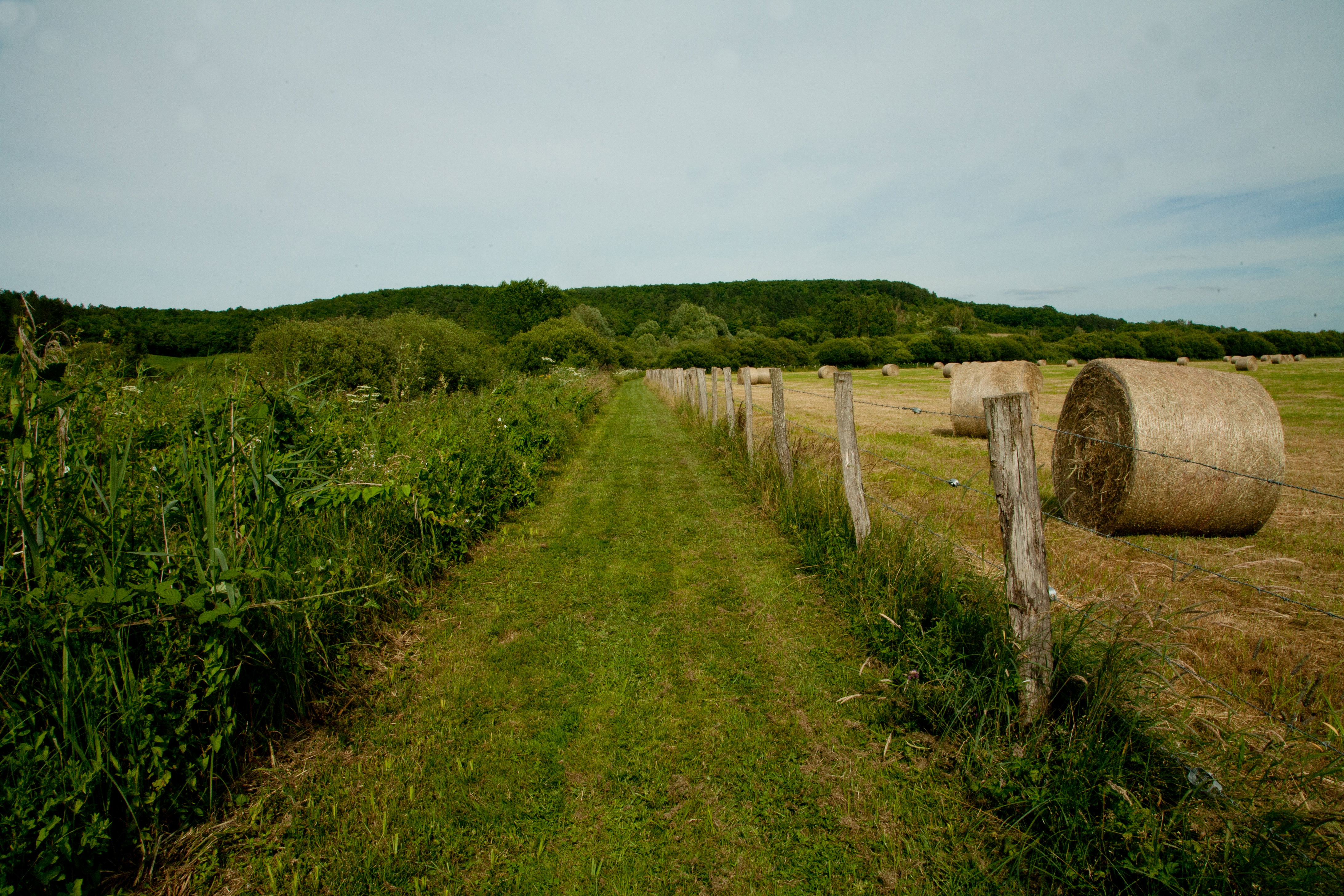 - image: 25