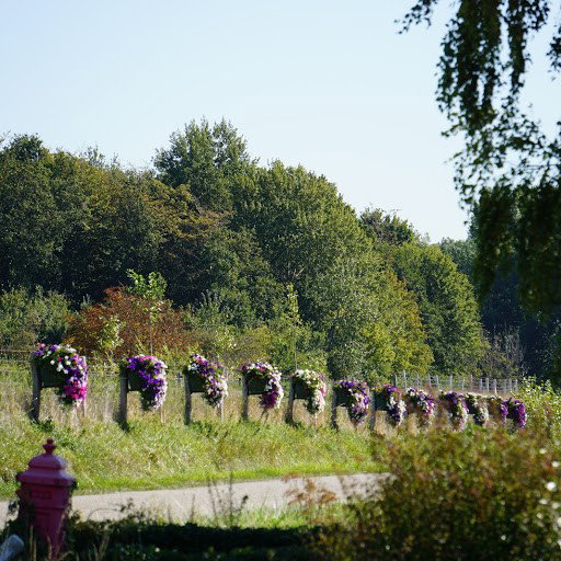 - image: 53