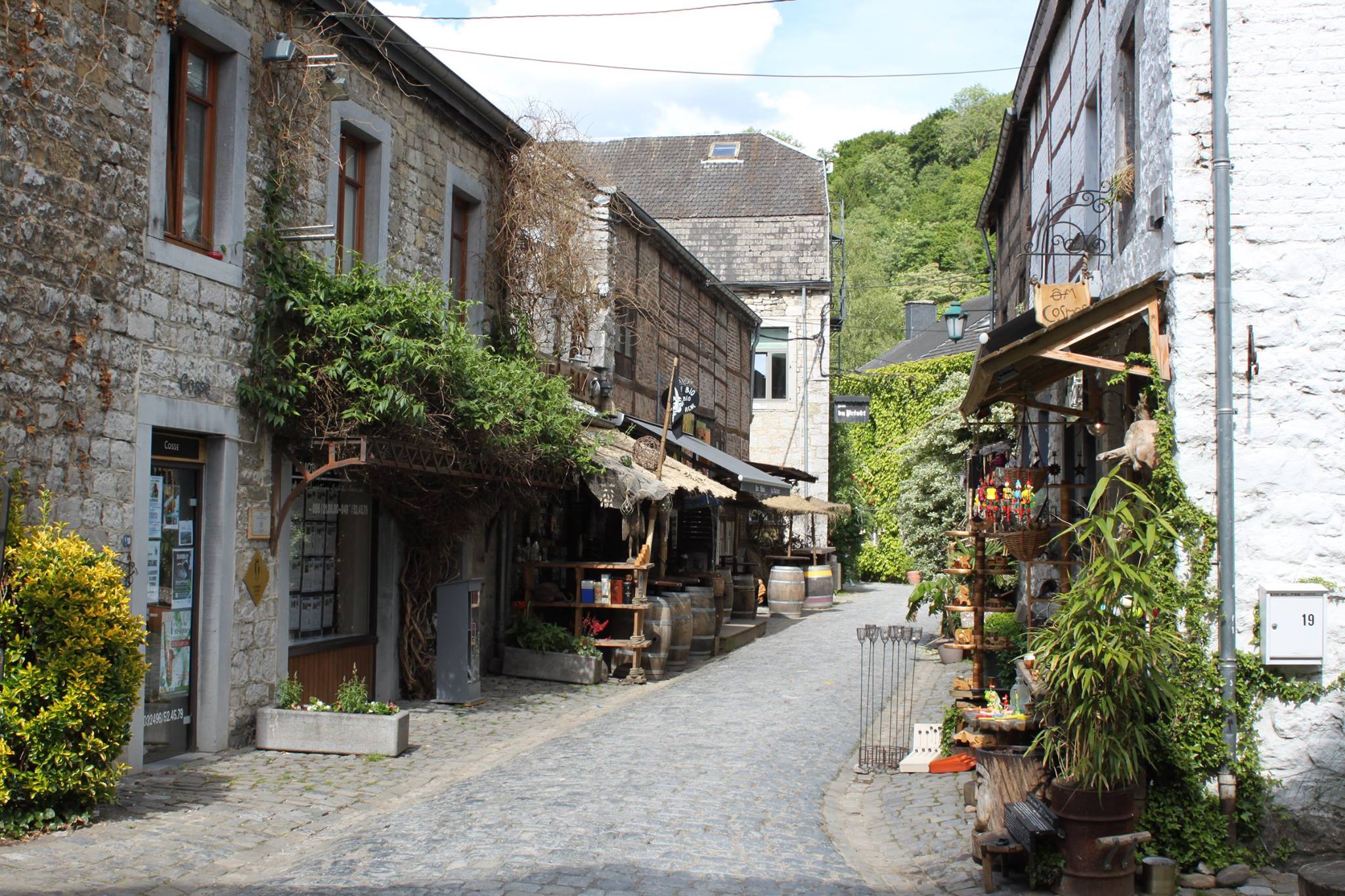 - image: 49