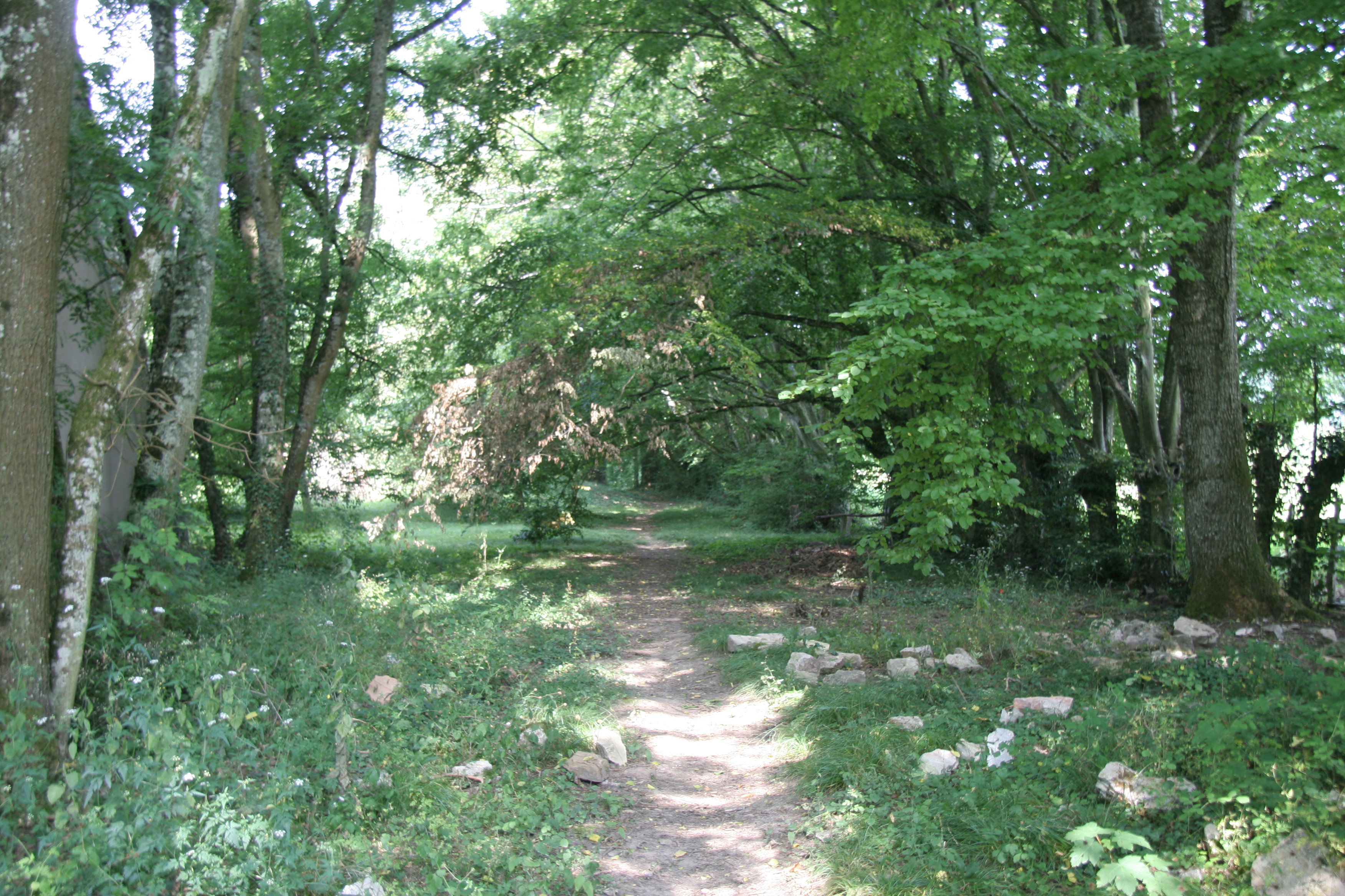 - image: 19
