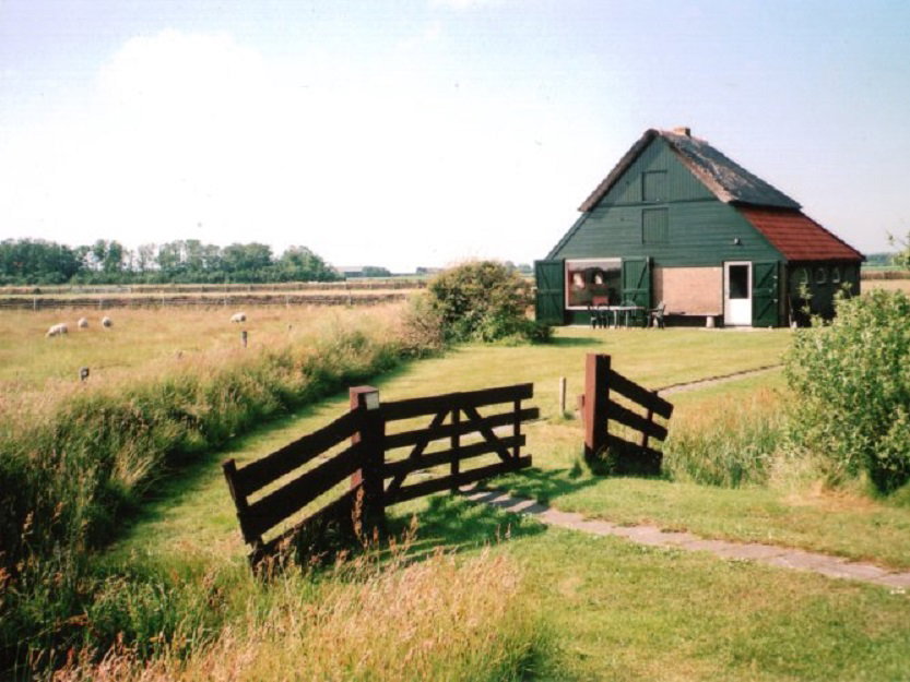 - image: 2