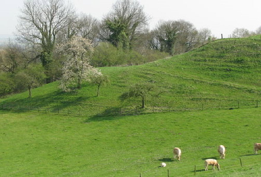 - image: 11