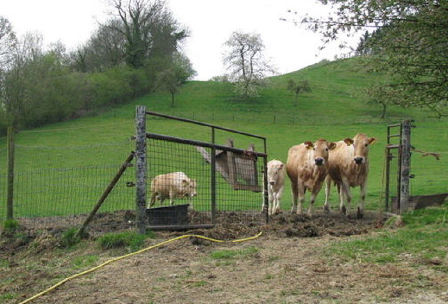 Naturhäuschen in Wijlre