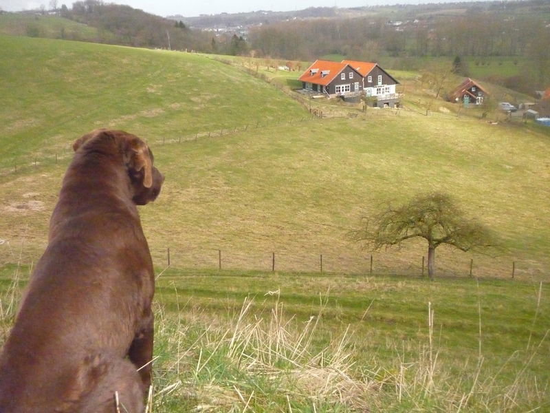 Naturhäuschen in Wijlre