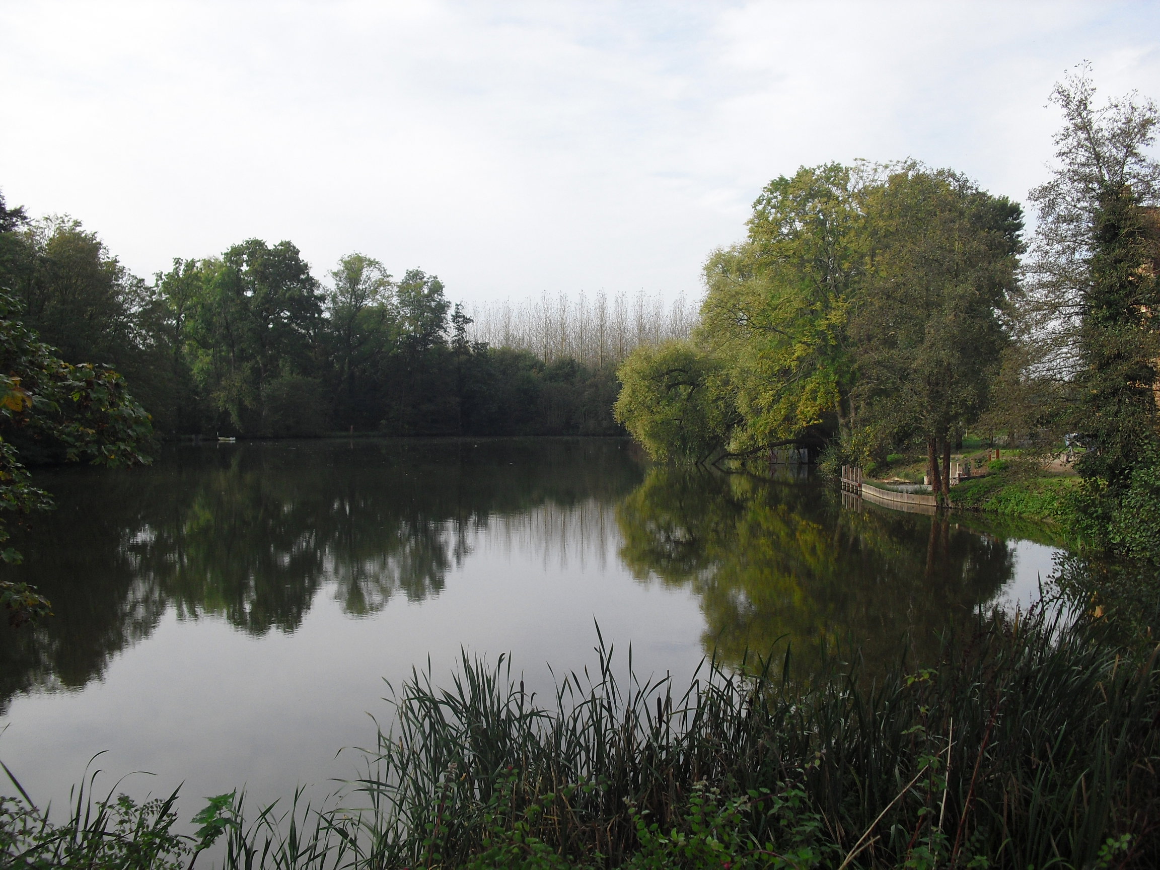 - image: 15