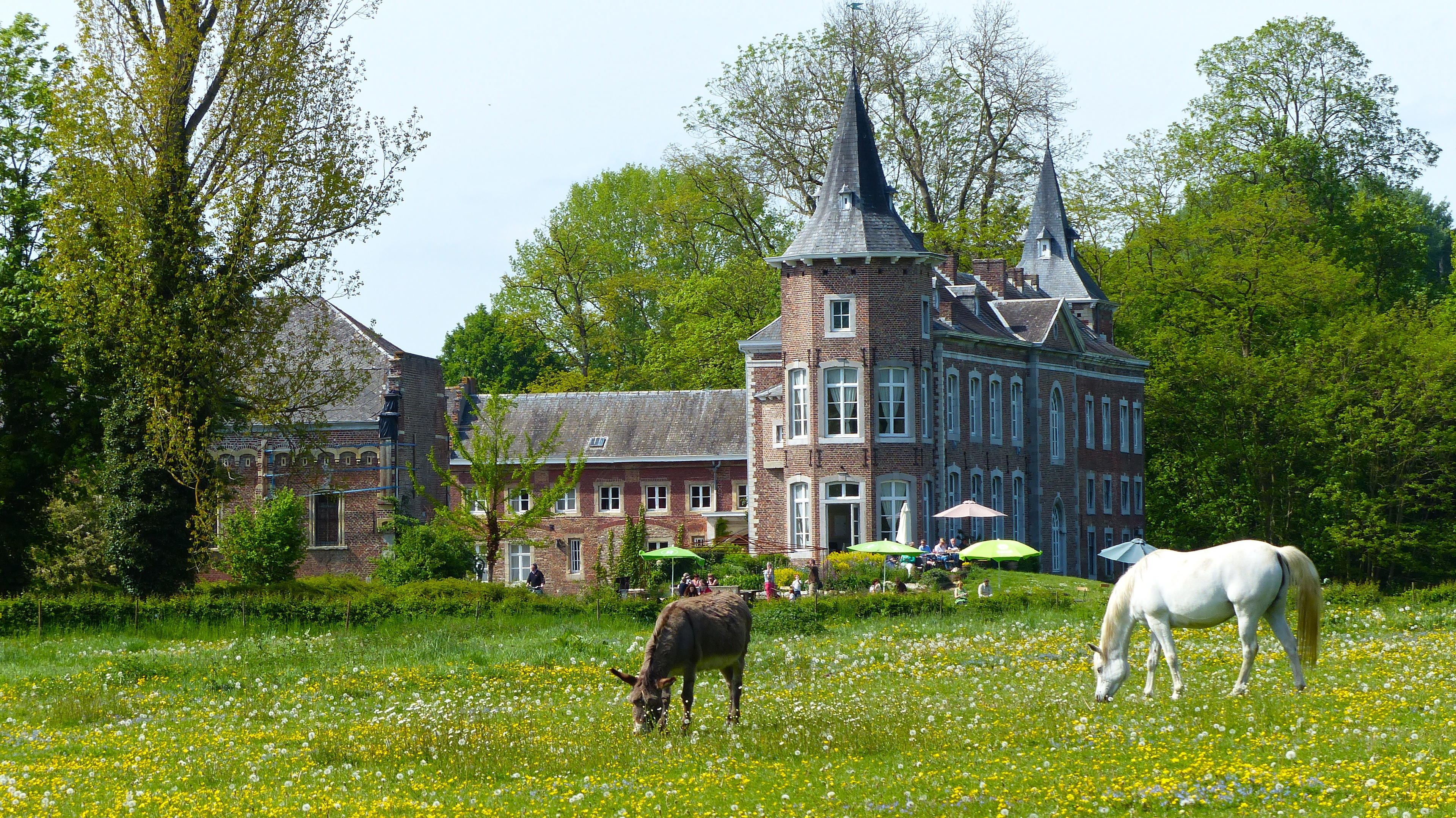 Nature house in Sint-Truiden