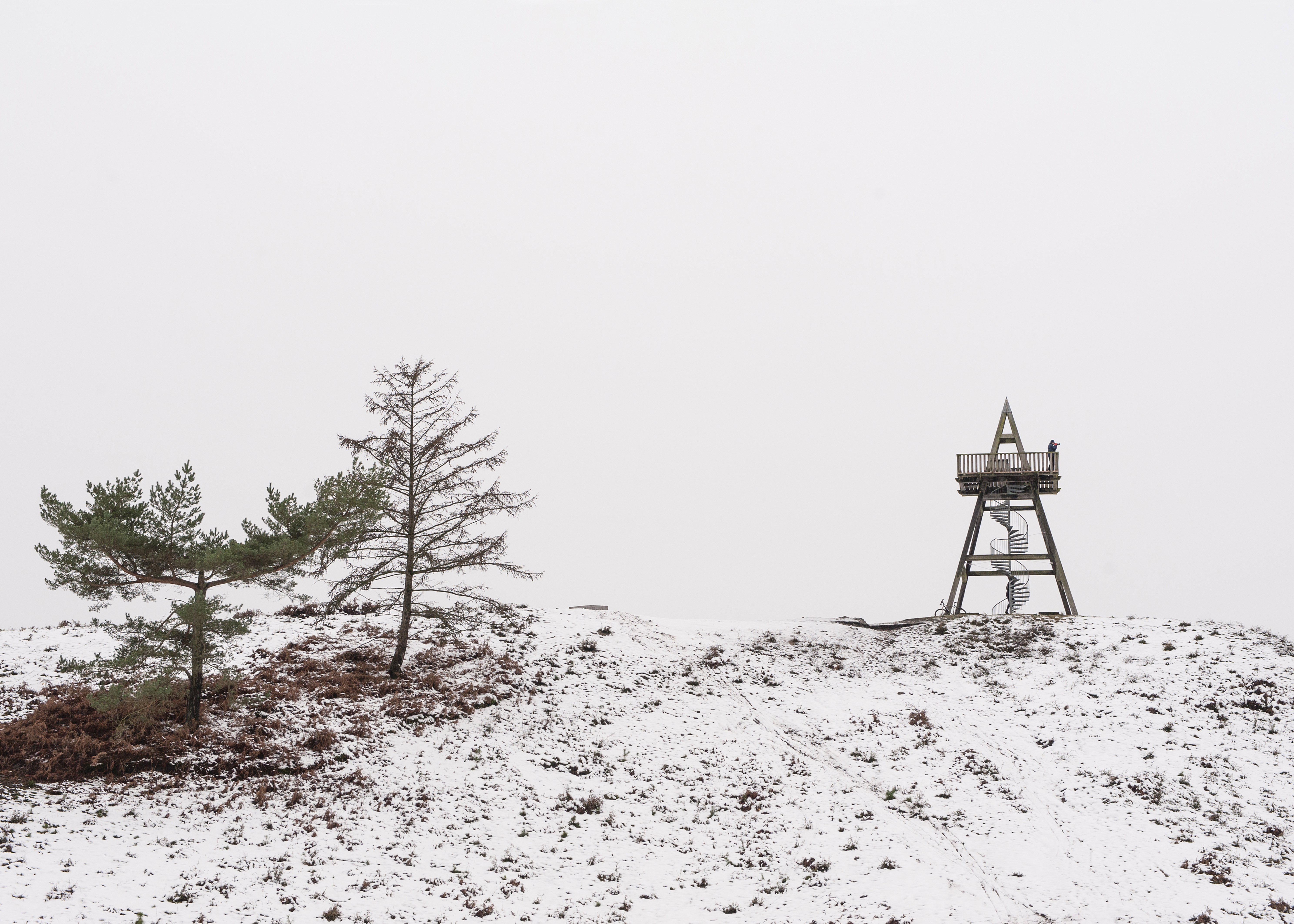 Naturhäuschen in Afferden