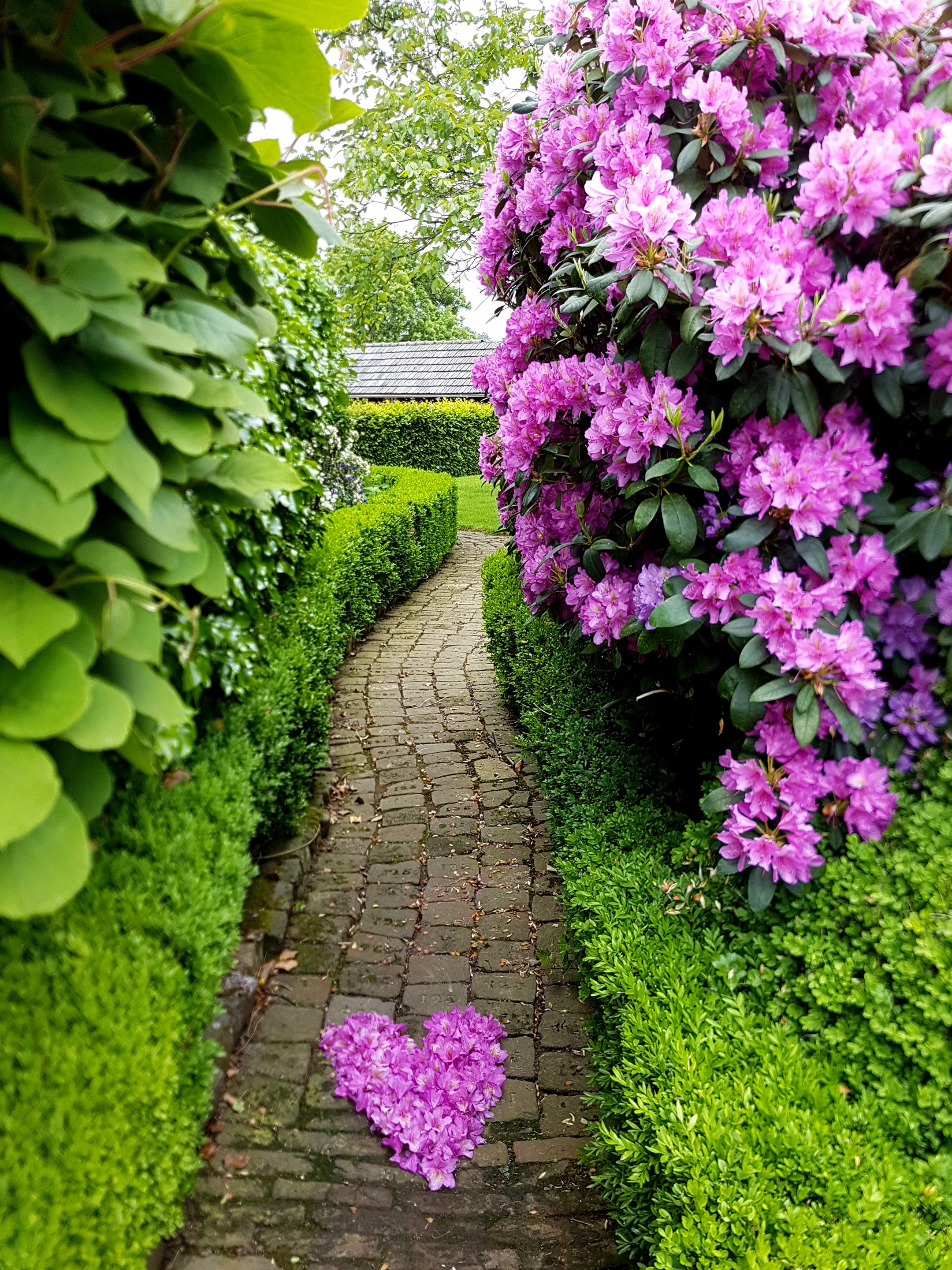 - image: 22