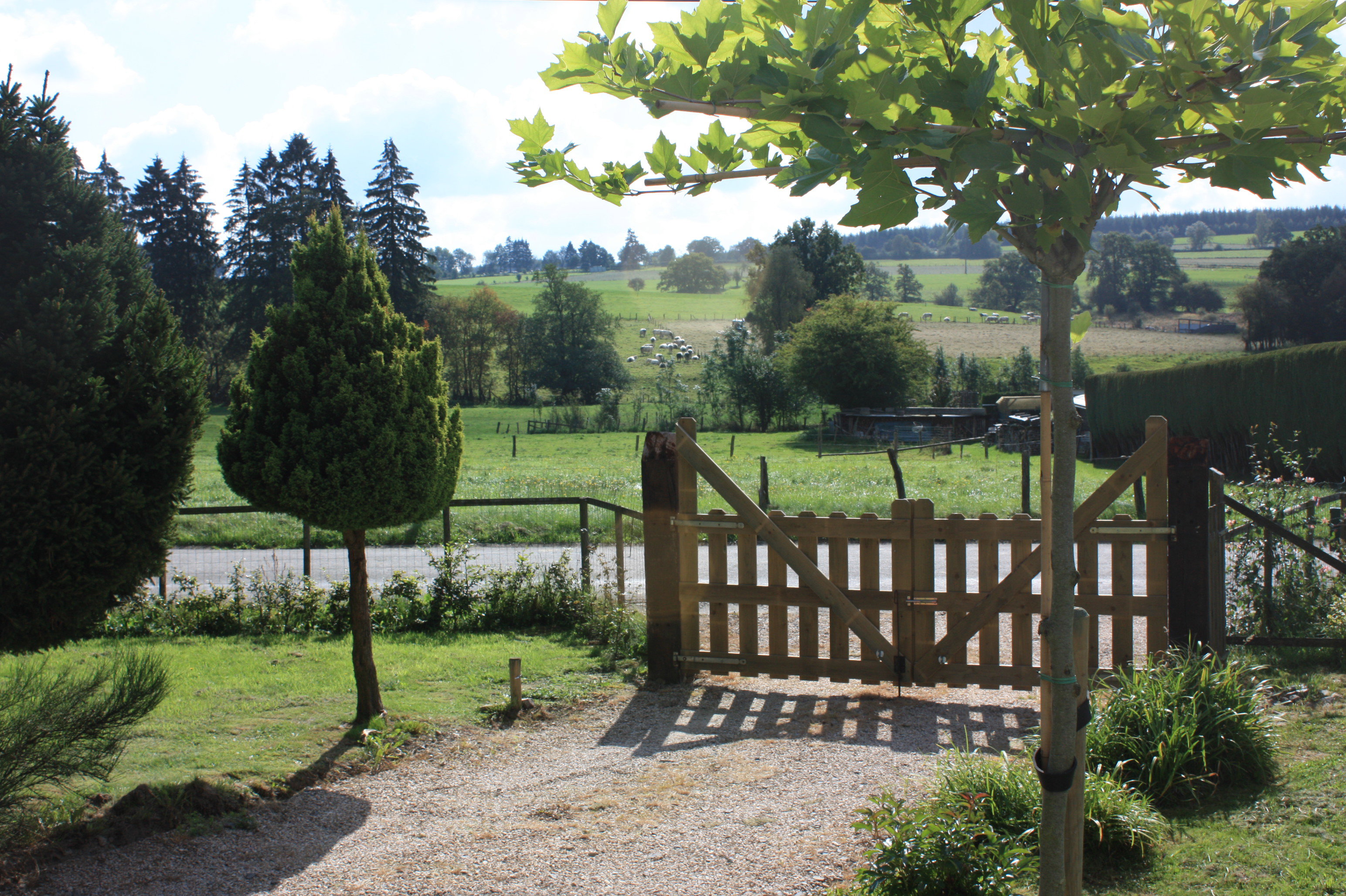 Maison nature à Gouvy