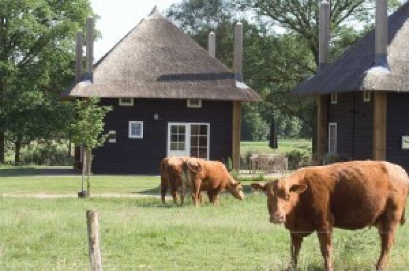 Maison nature à Enter