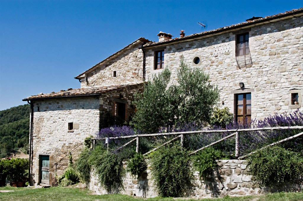 - image: 20