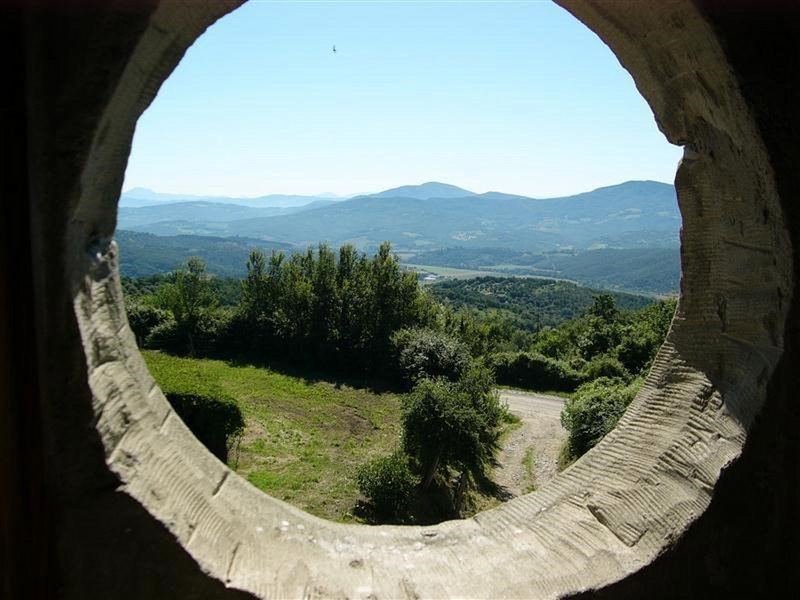 - image: 15