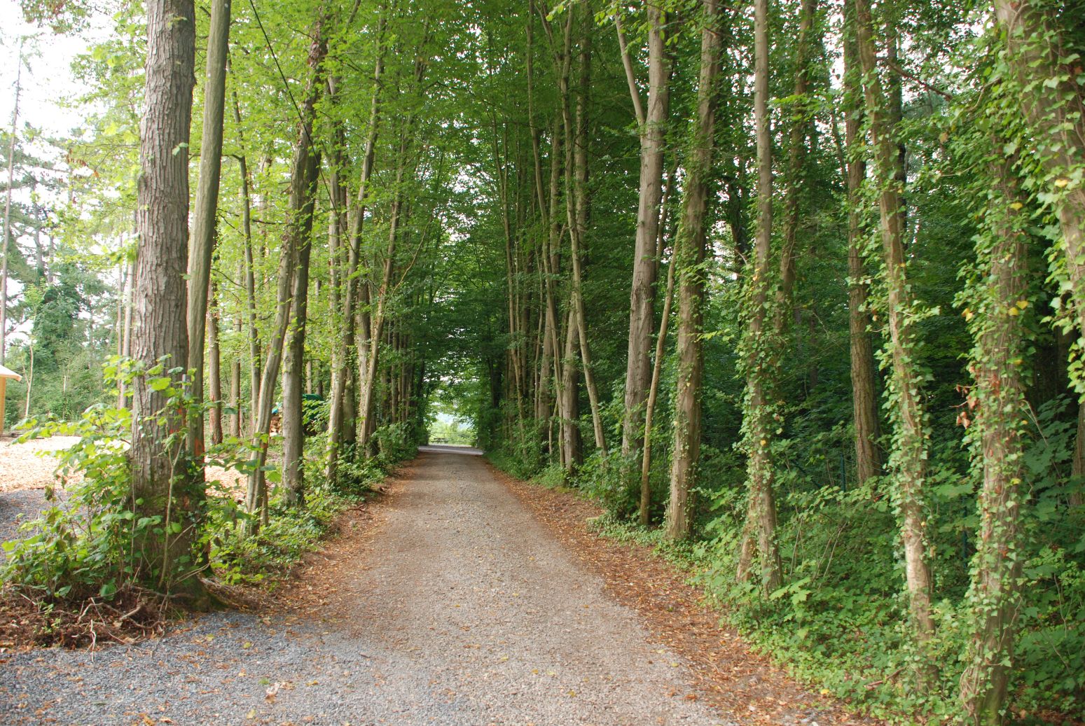 Natuurhuisje in Bomal sur Ourthe