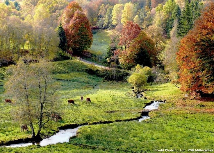 - image: 22