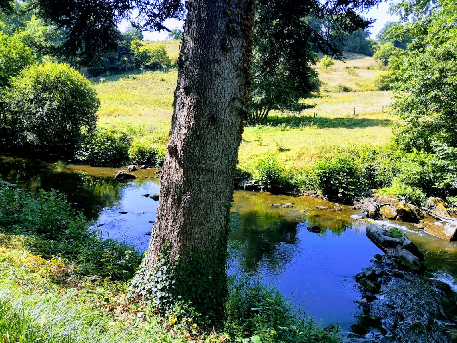 Natuurhuisje in Masleon