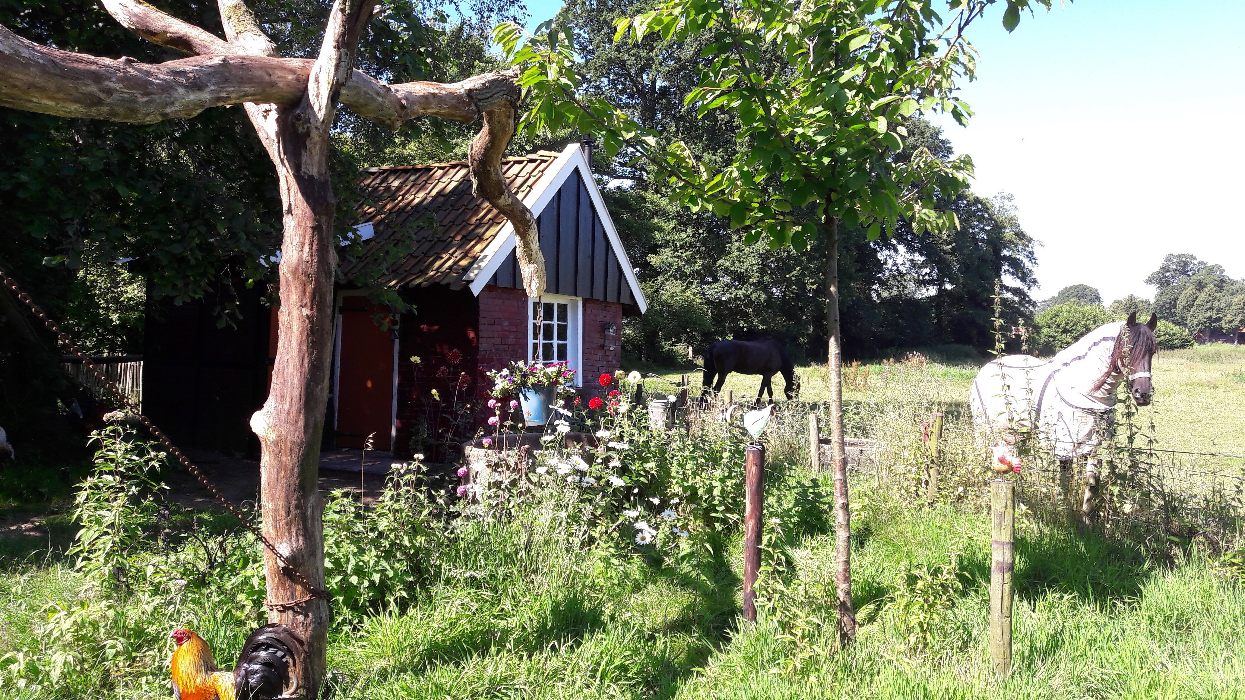 Maison nature à Winterswijk