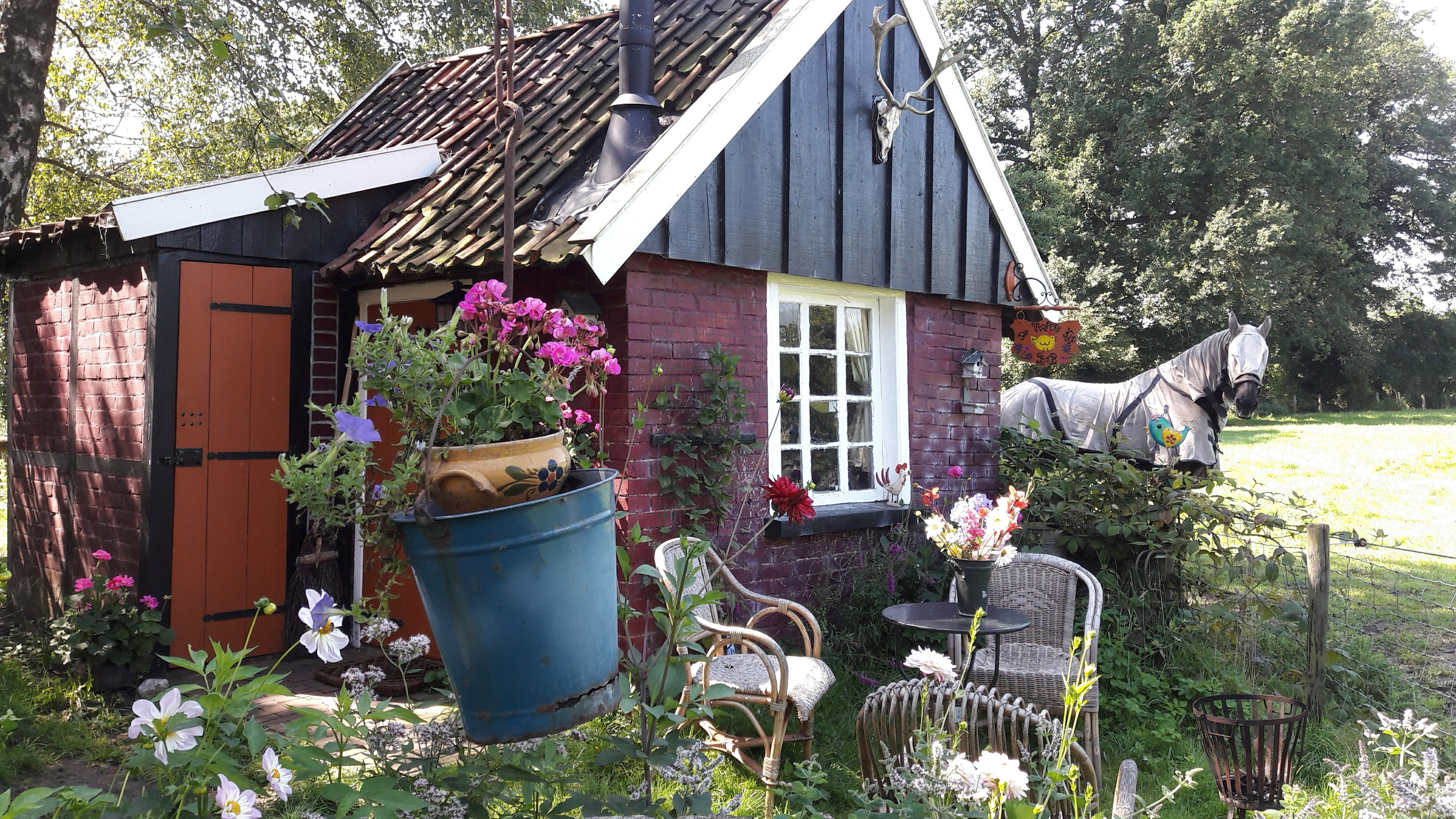 Maison nature à Winterswijk