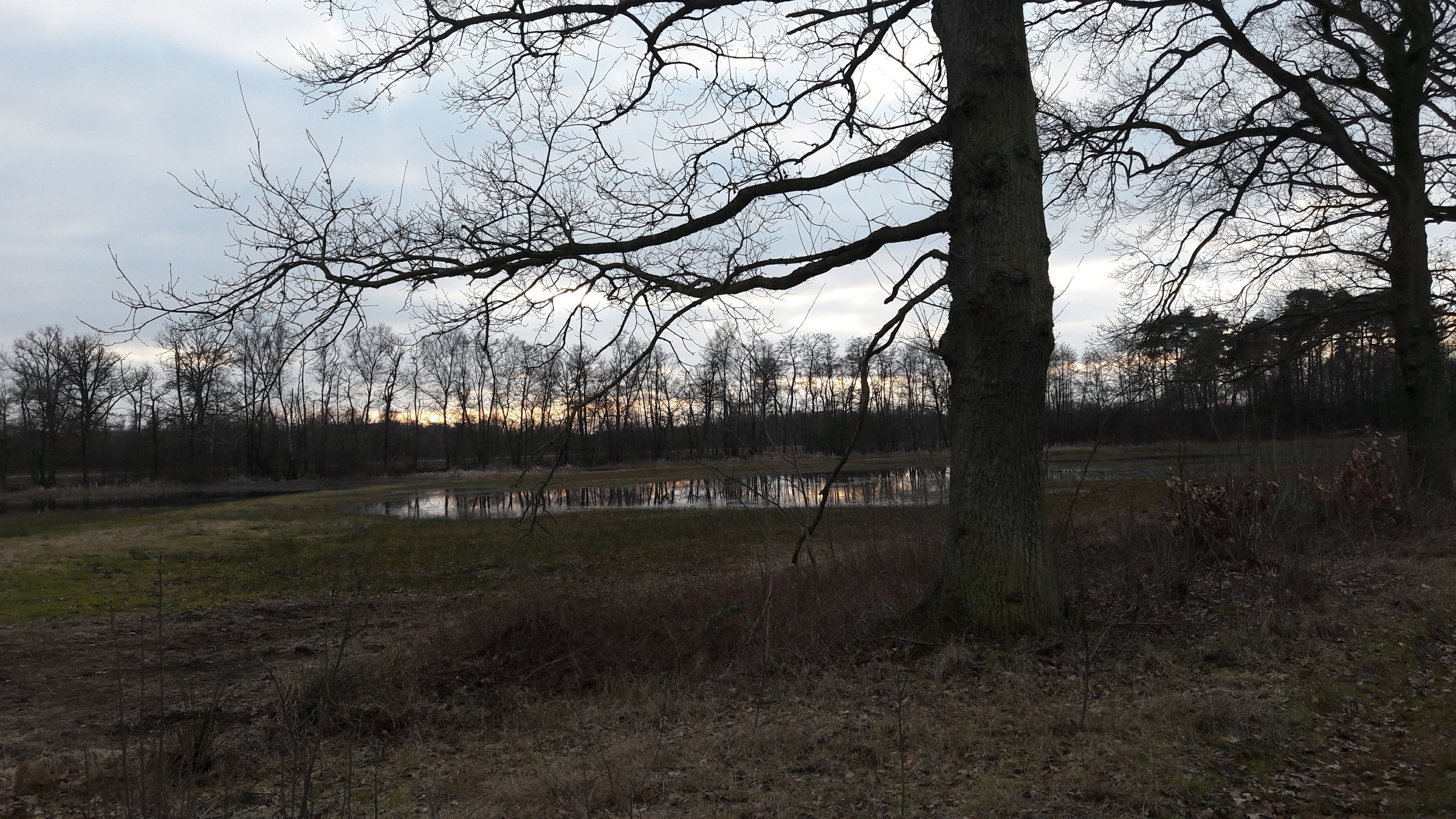 - image: 21