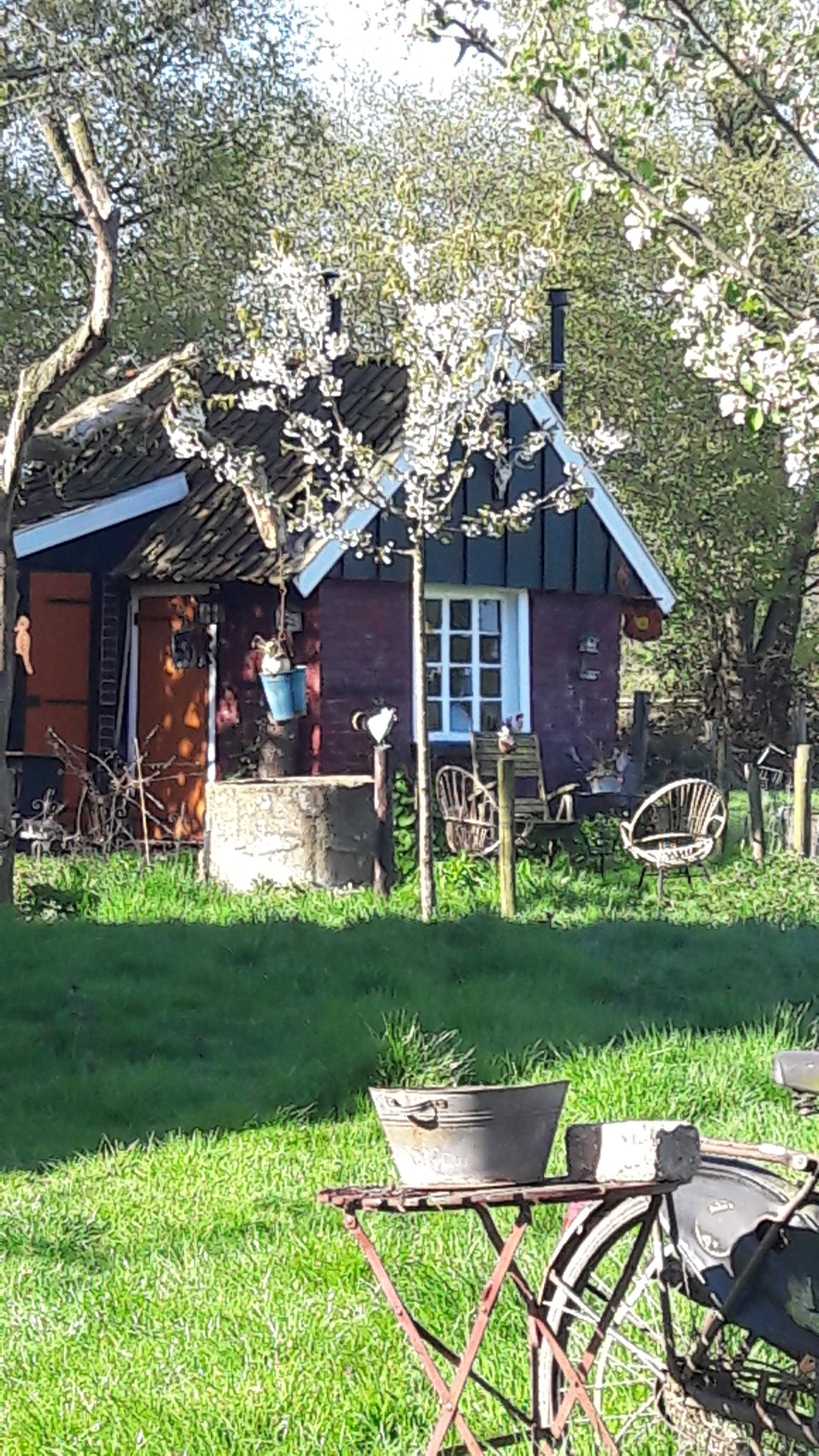 Maison nature à Winterswijk
