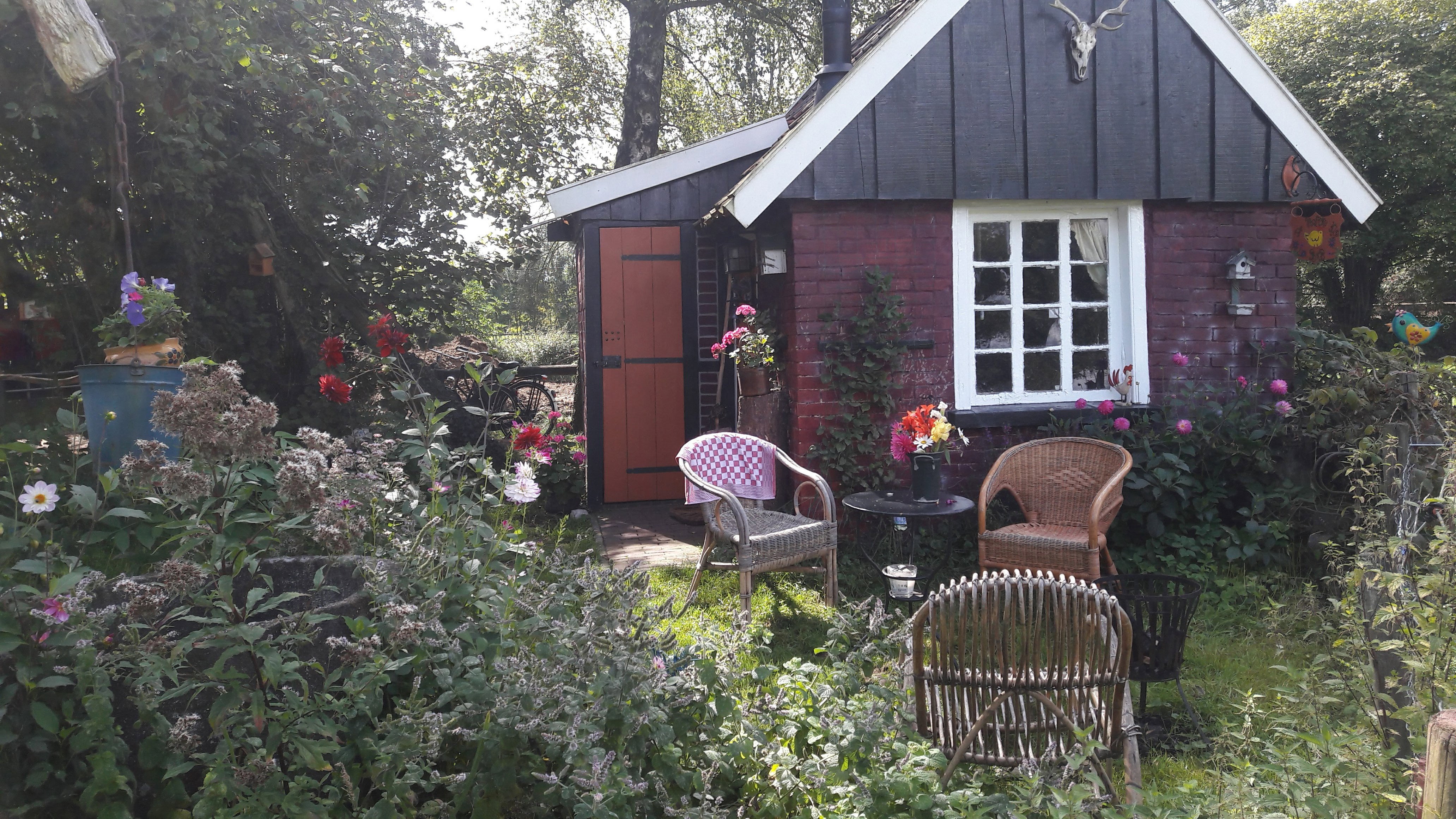 Maison nature à Winterswijk