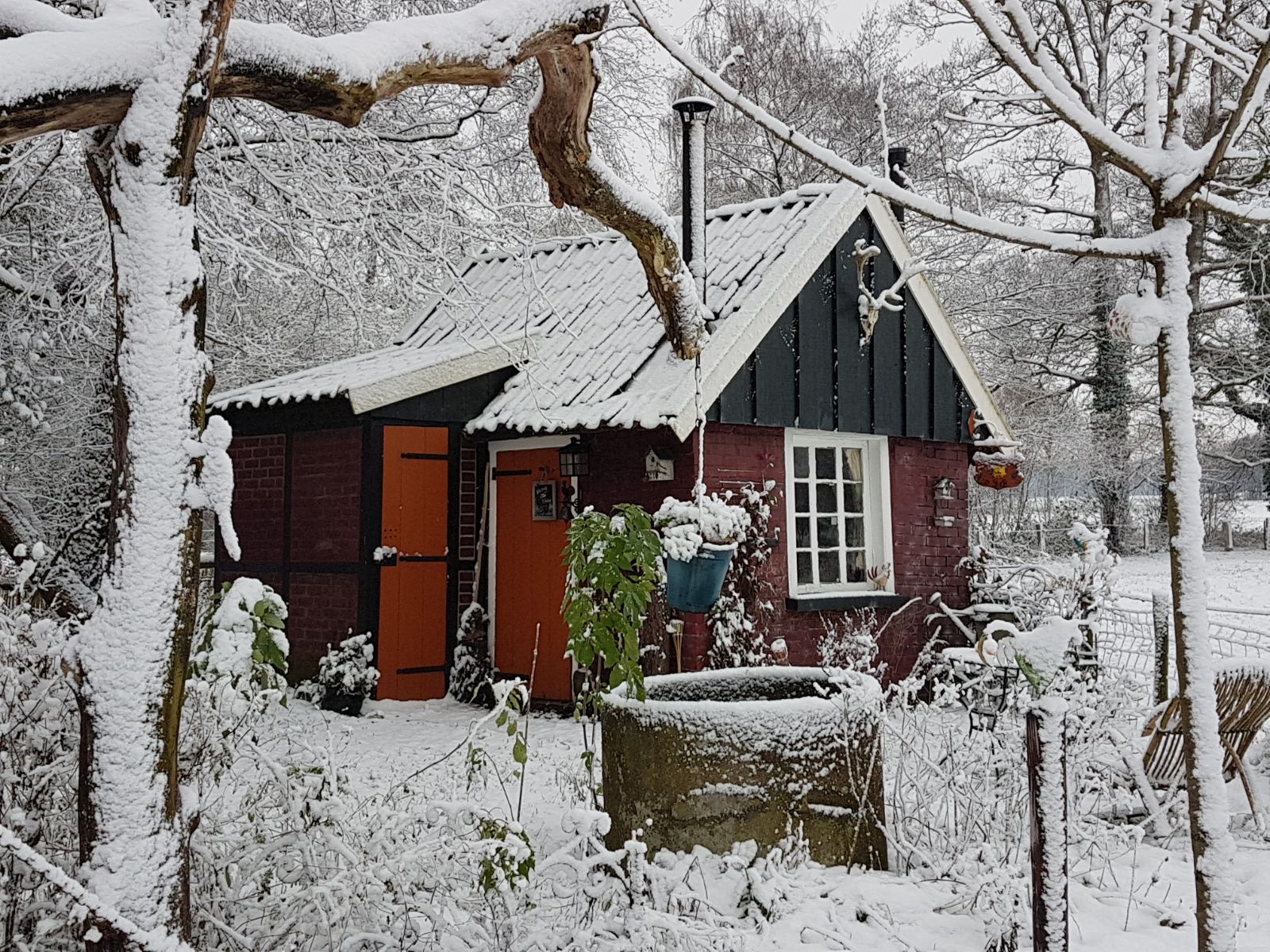 Maison nature à Winterswijk