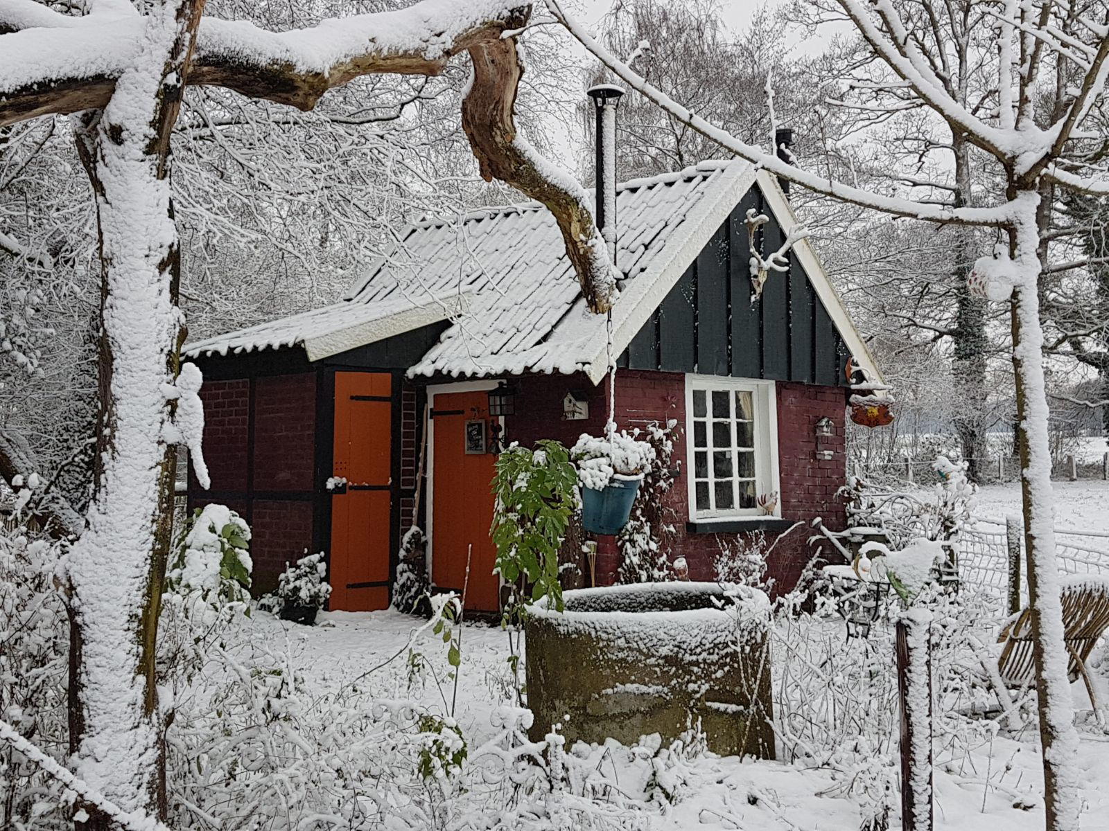 Nature house in Winterswijk