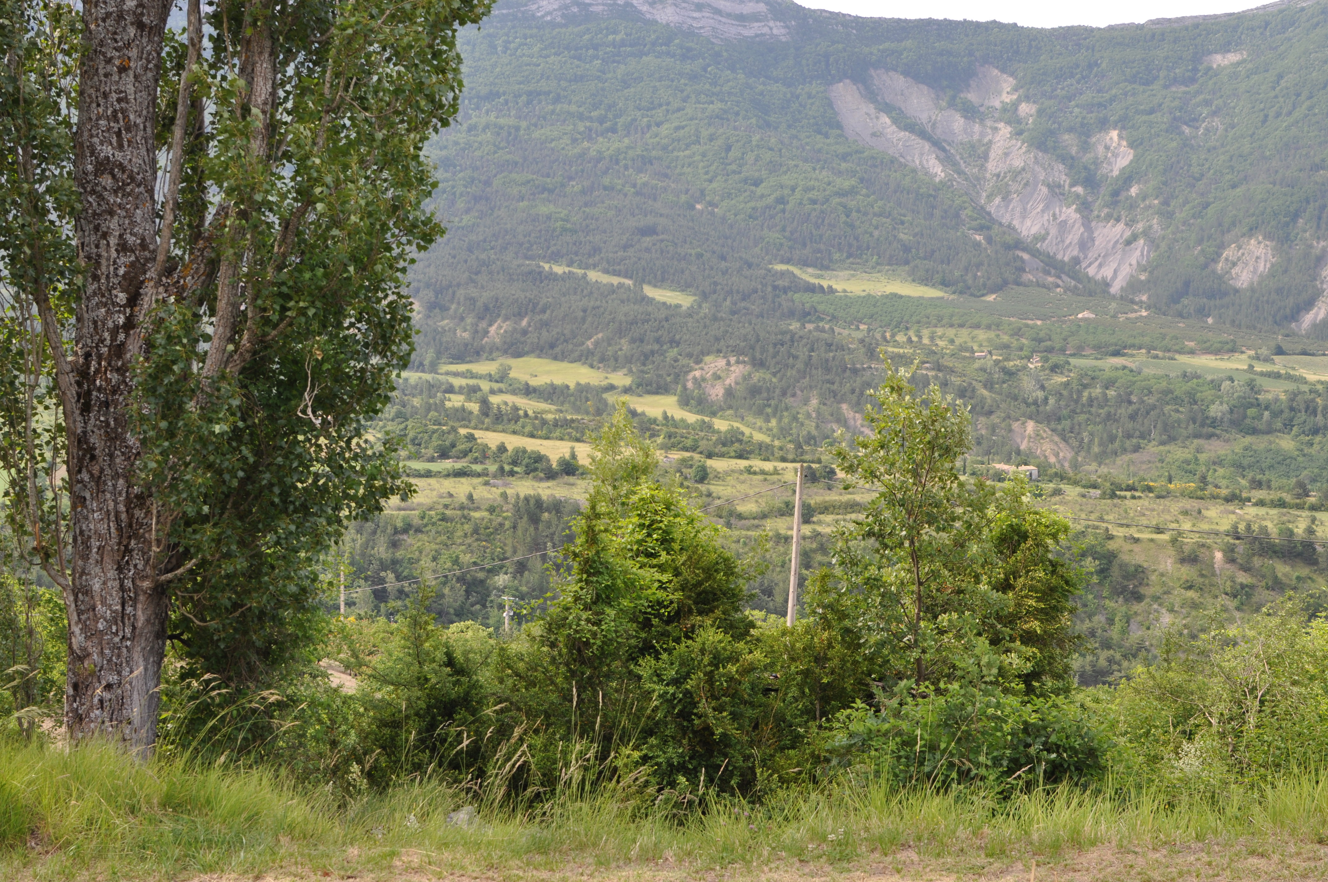 - image: 11