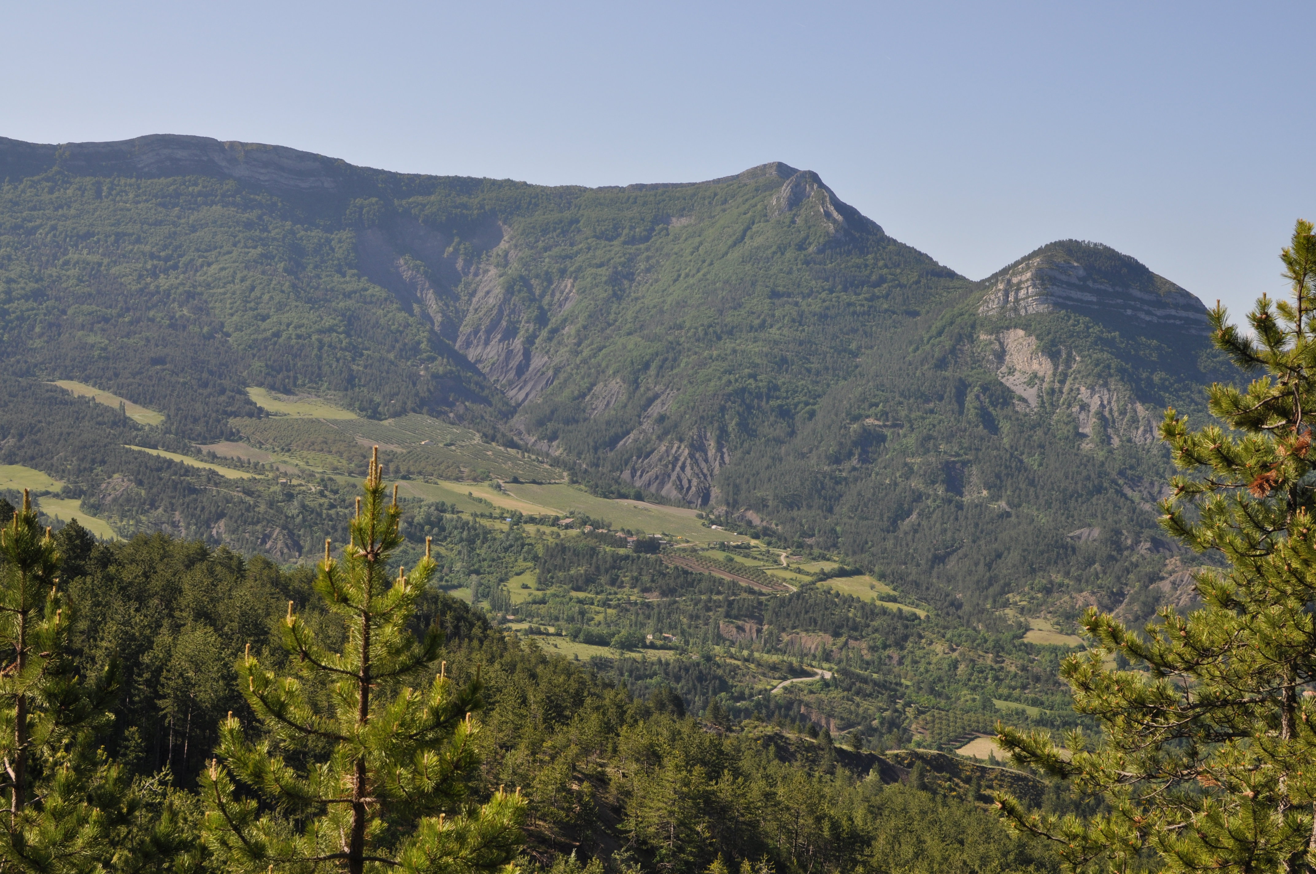 - image: 12