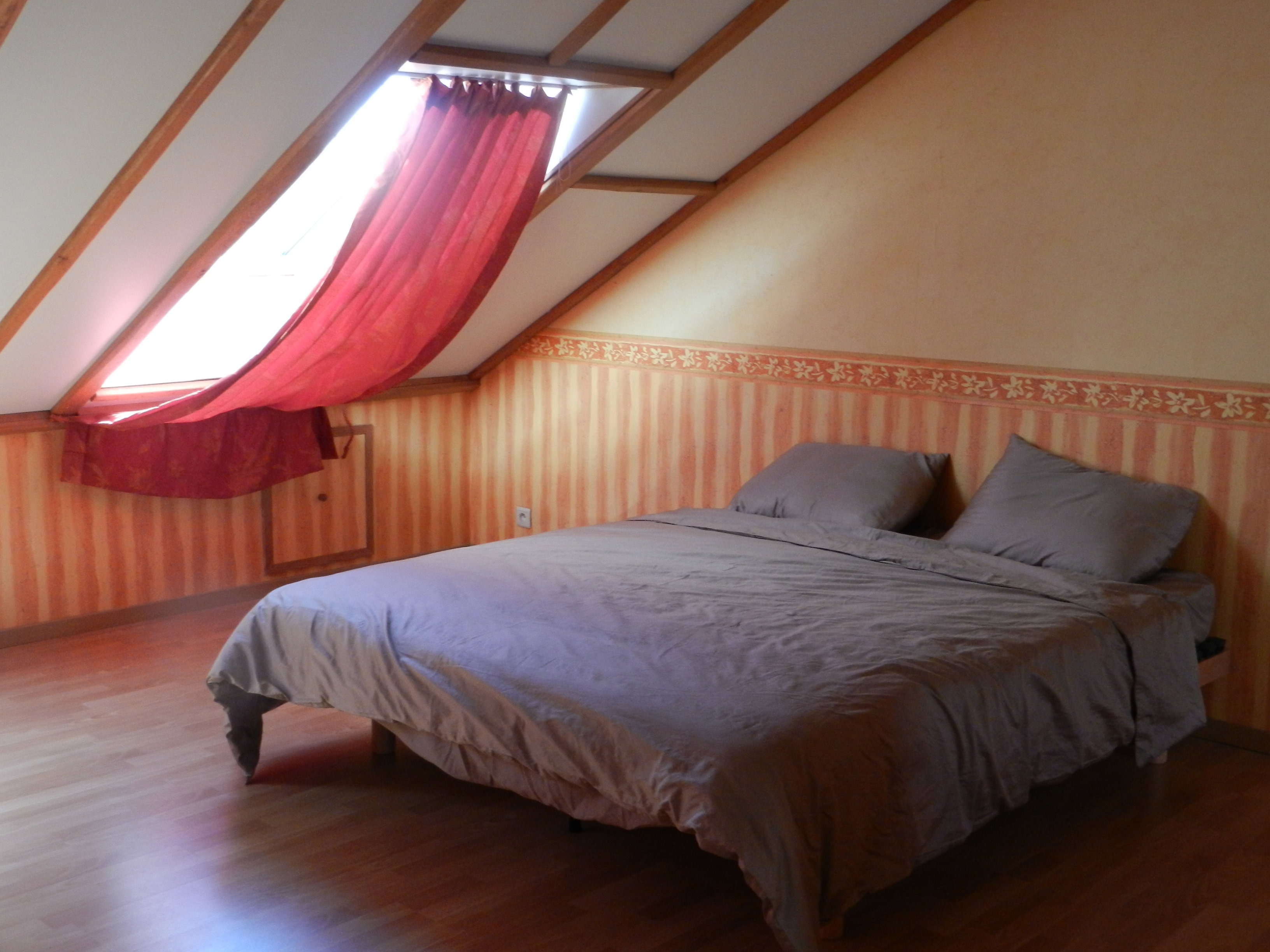 - image: 11