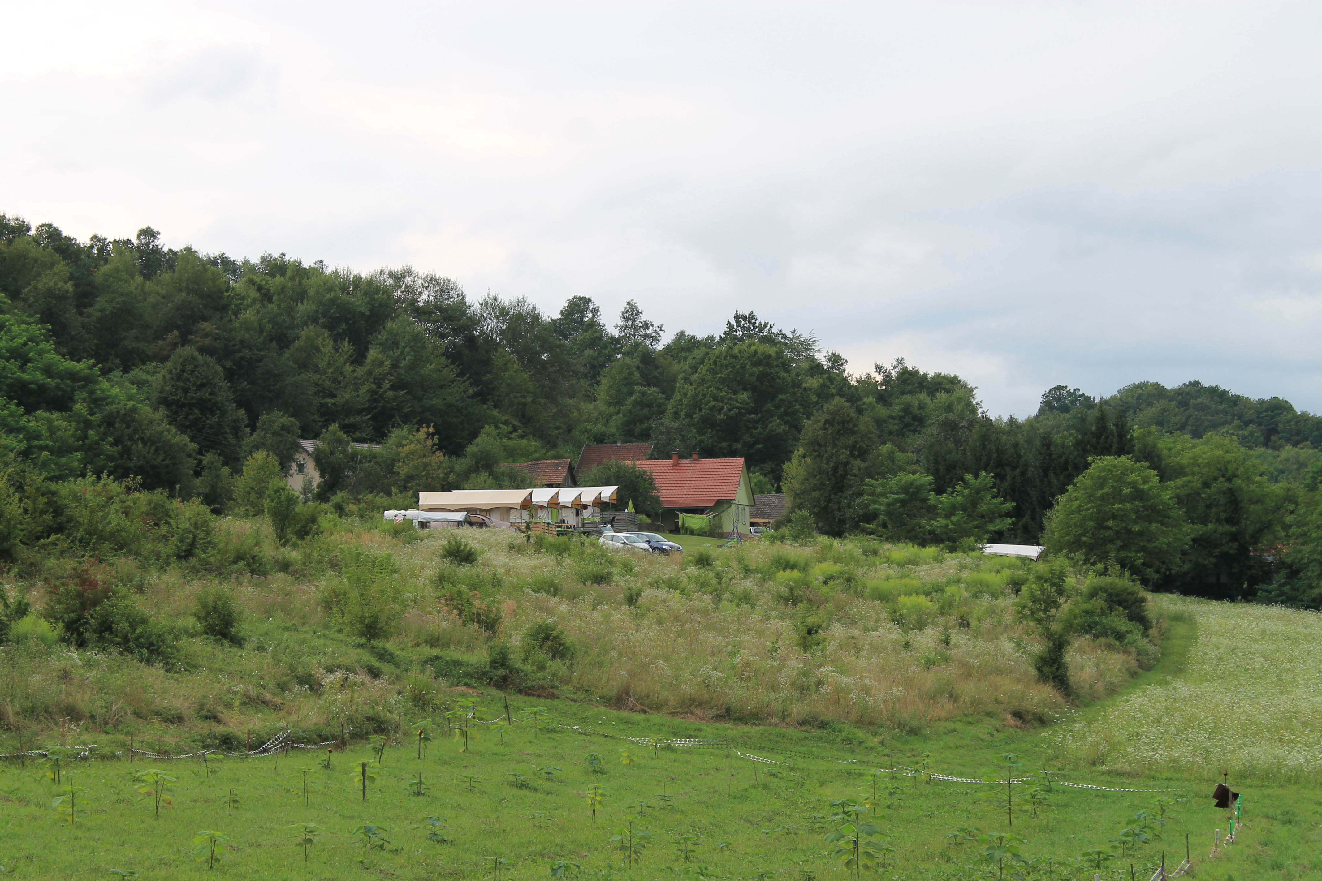 - image: 14