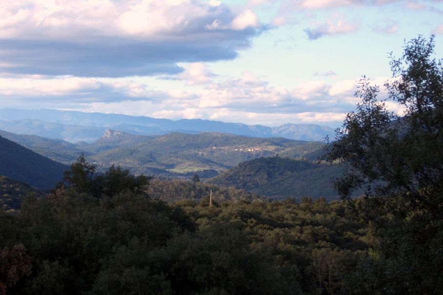 - image: 22
