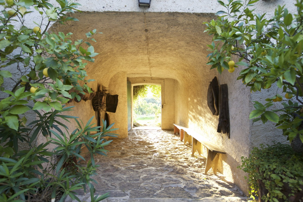 - image: 11