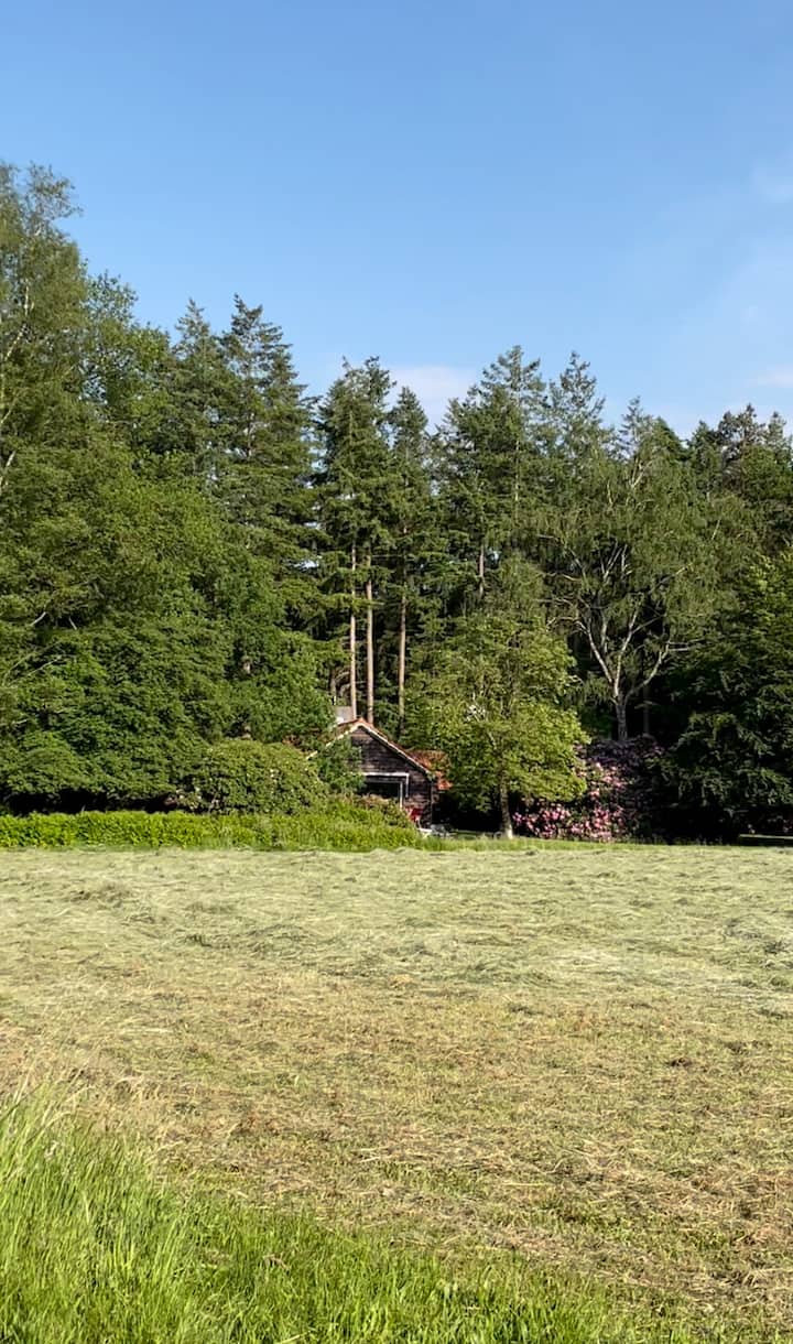 Casa nella natura a Vierhouten