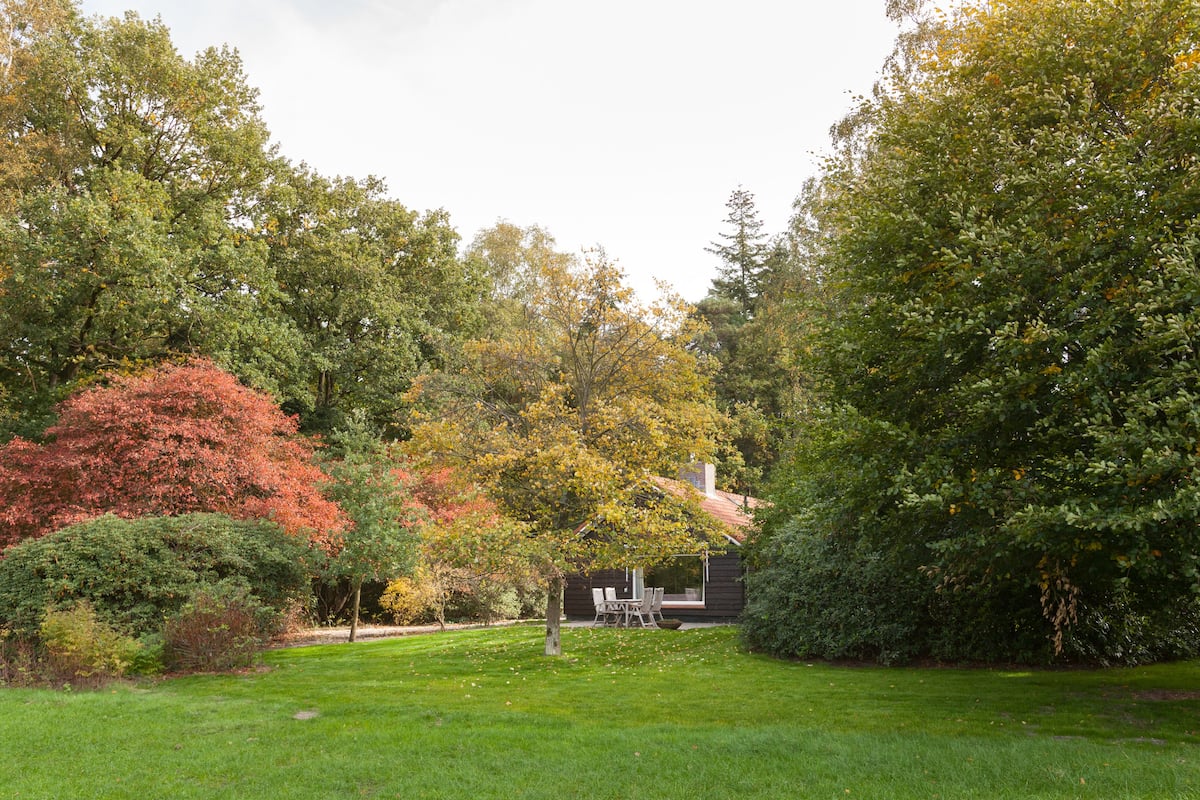 - image: 26