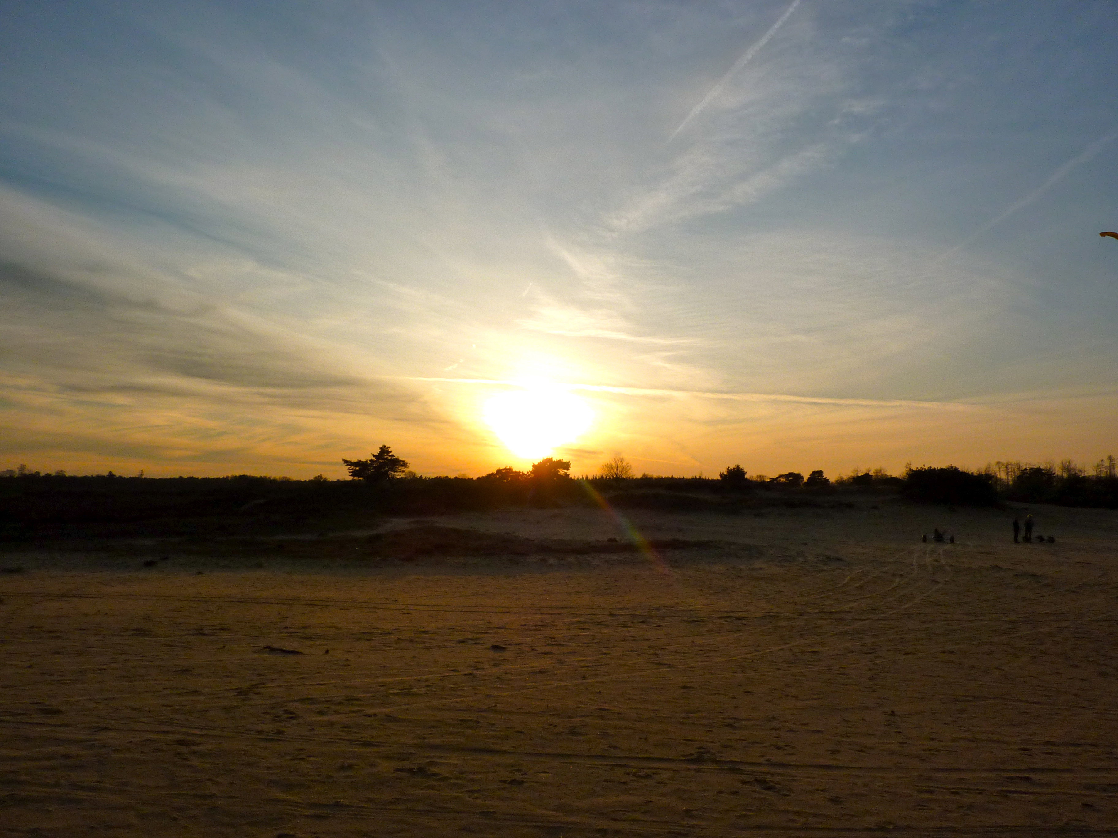 - image: 16