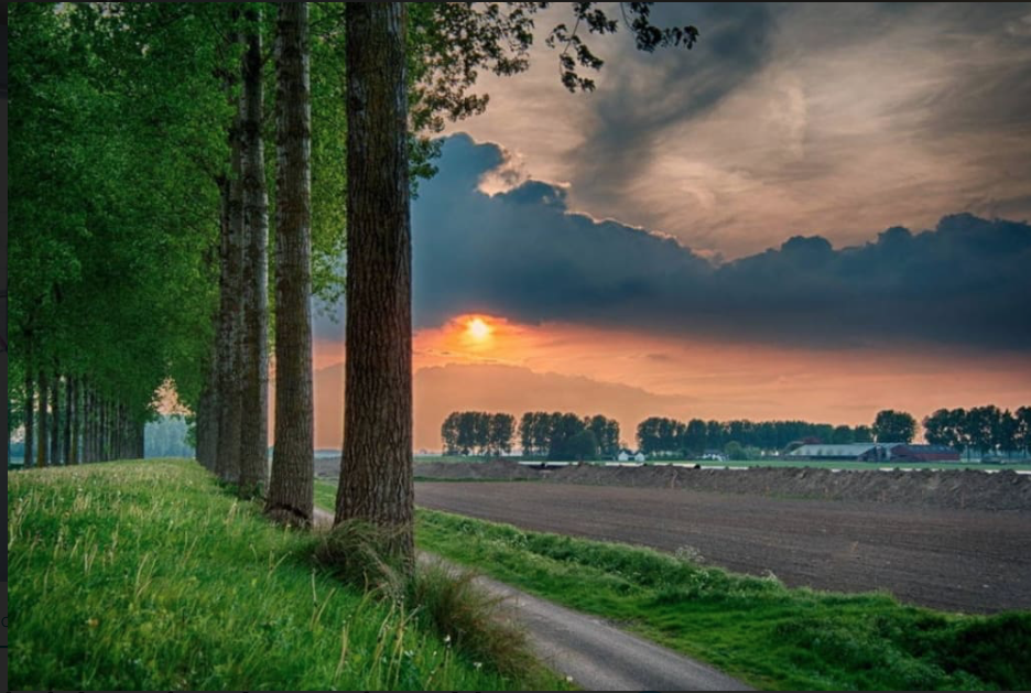 - image: 15