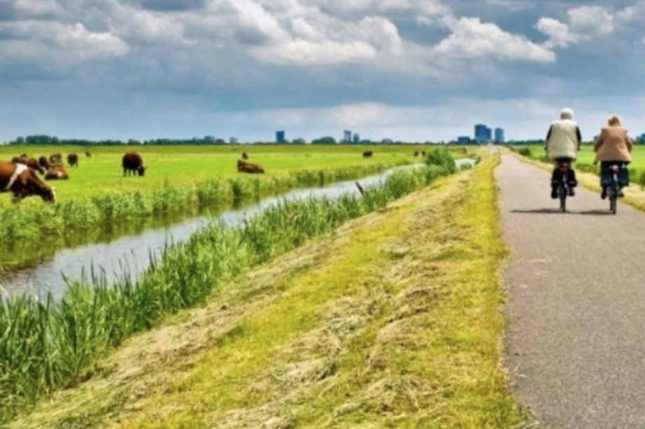Naturhäuschen in Hulst ( Walsoorden)