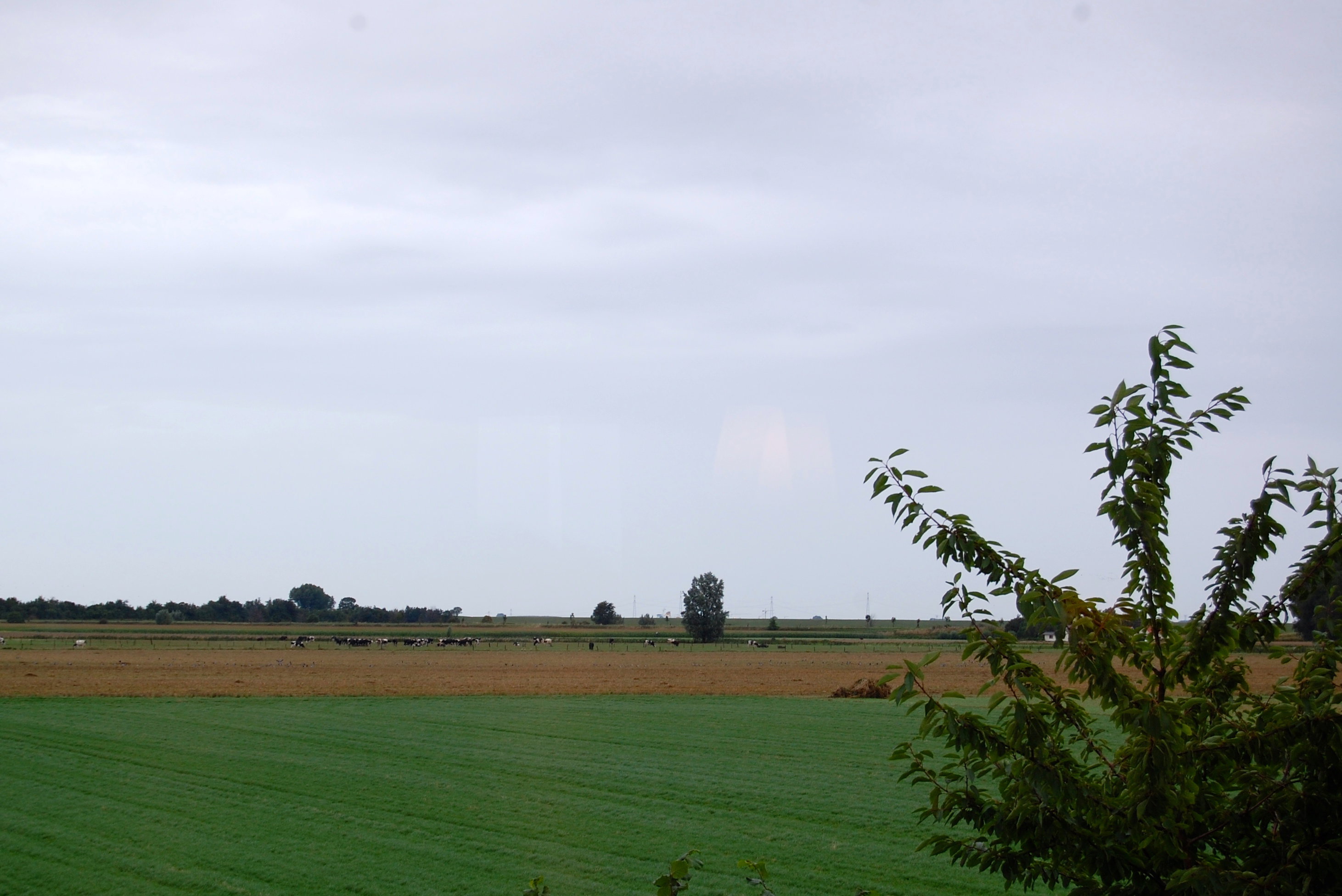 - image: 26
