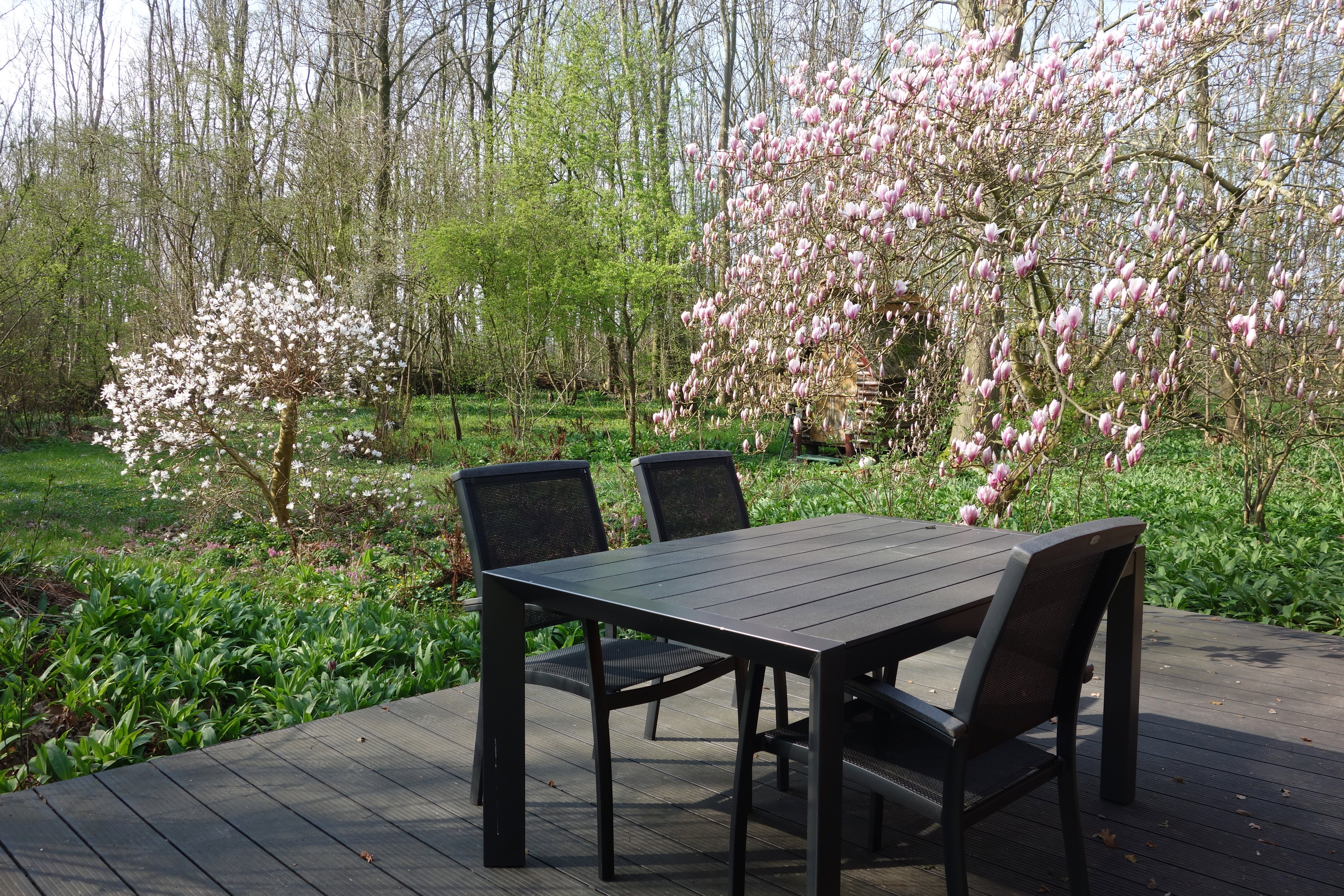 Nature house in Midwolda