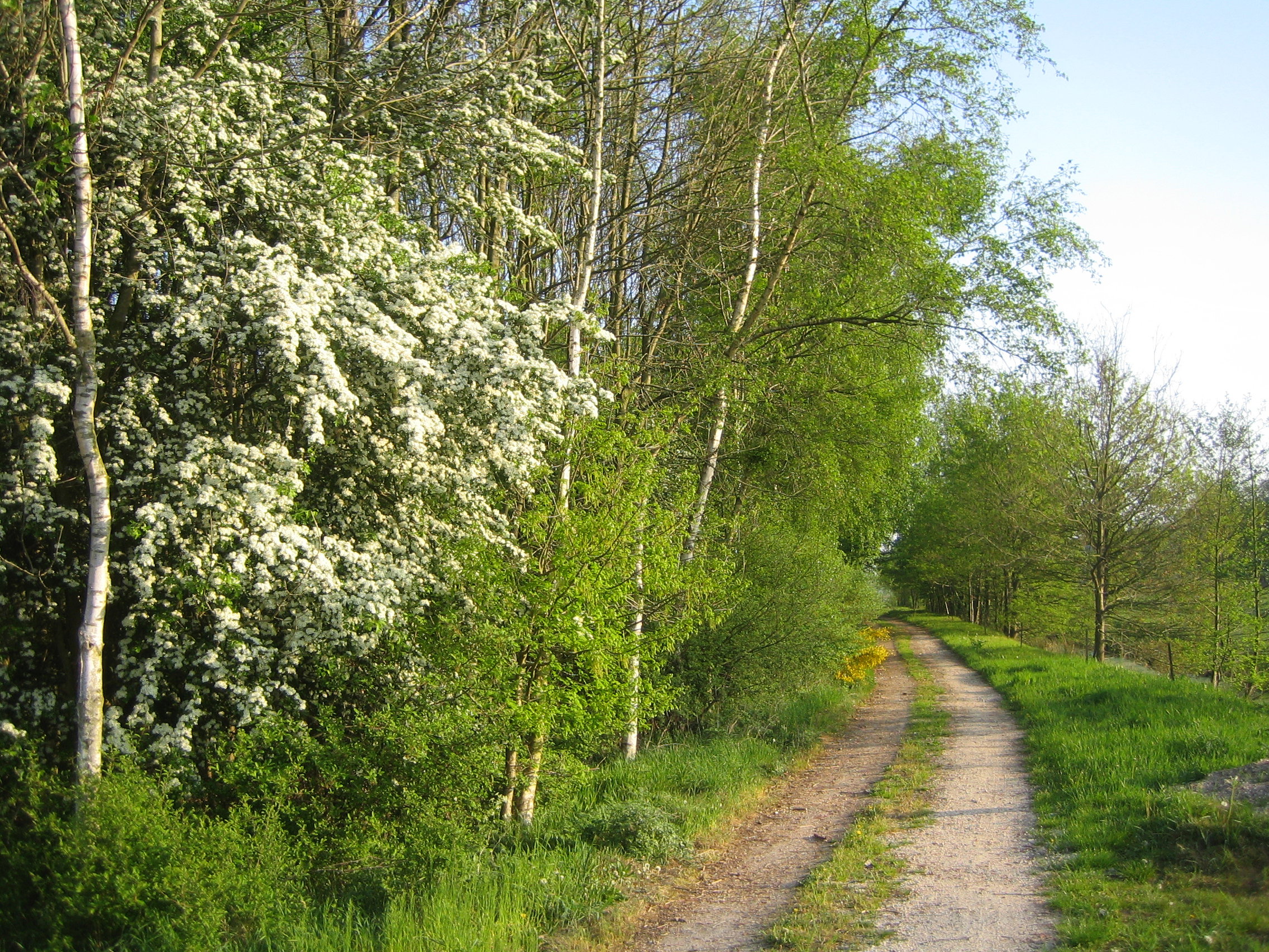 - image: 22