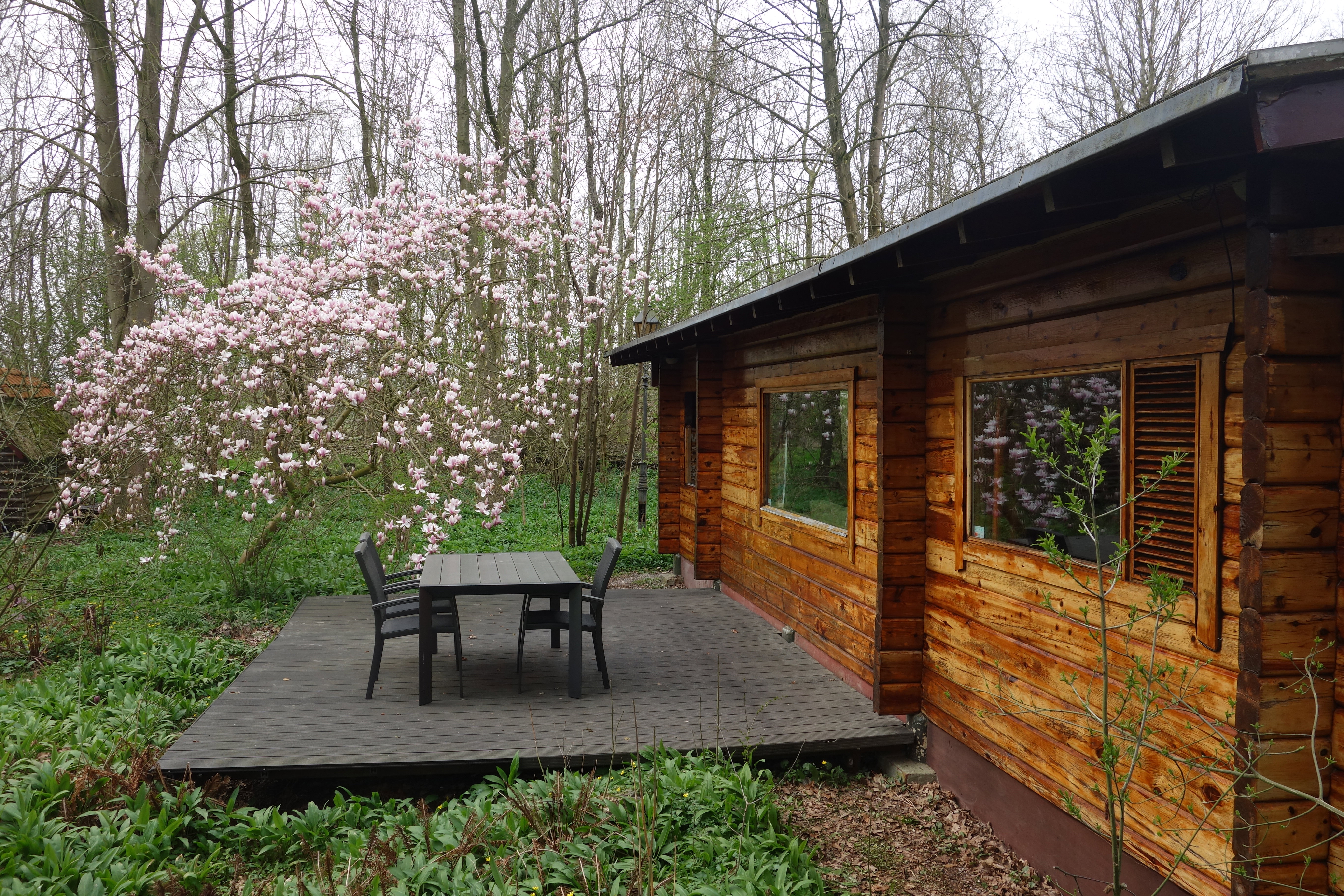 Nature house in Midwolda