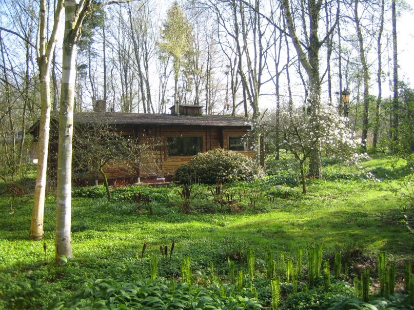 Maison nature à Midwolda