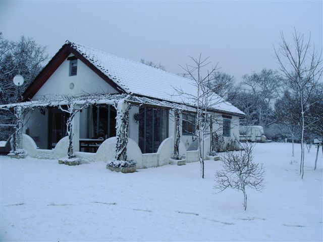 - image: 19