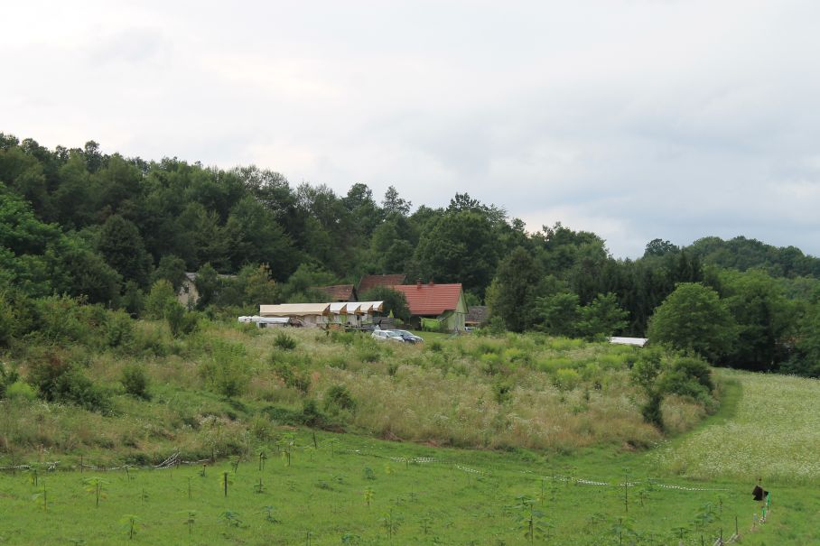 Natuurhuisje in Johi