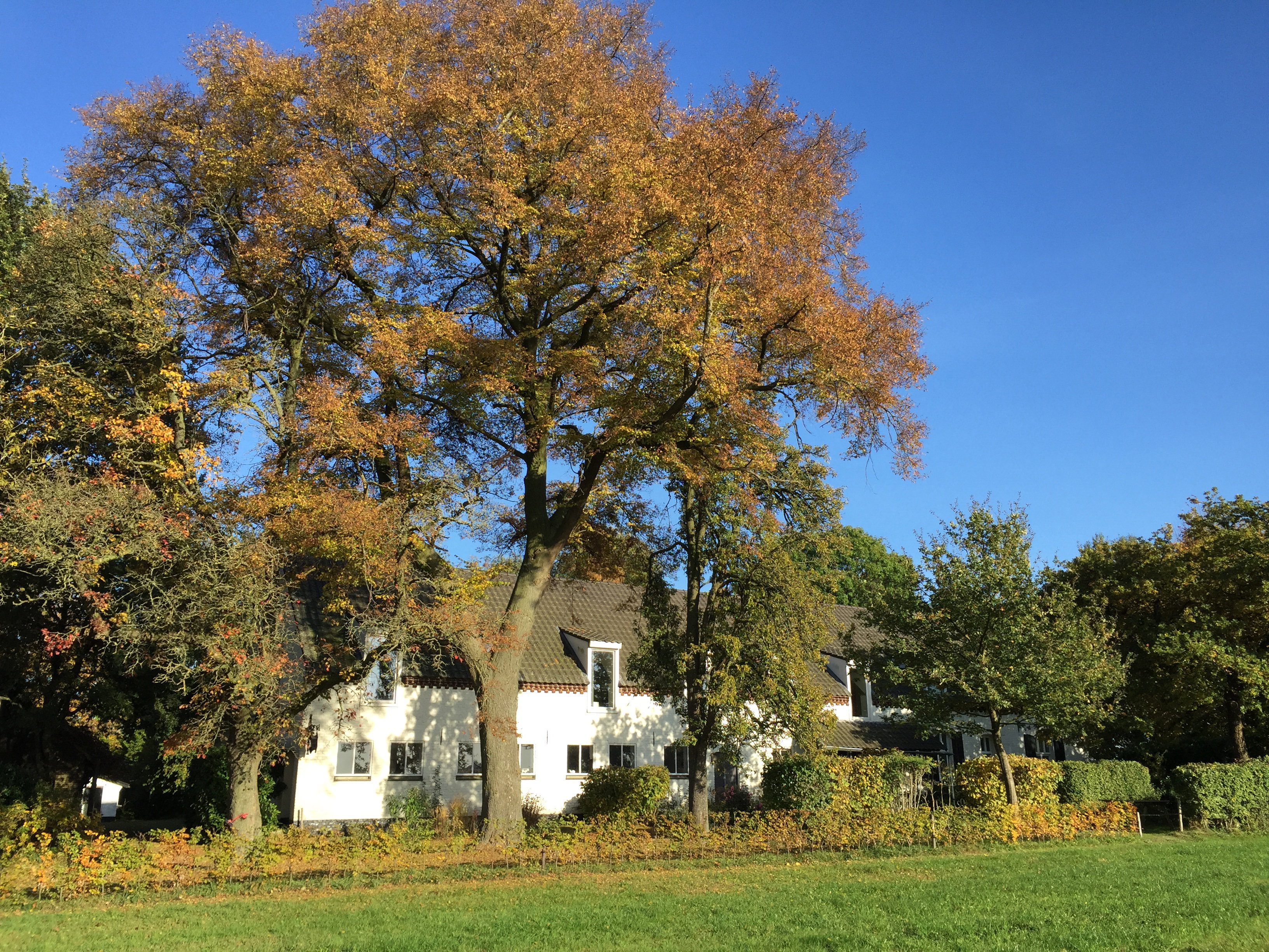 Naturhäuschen in Haler