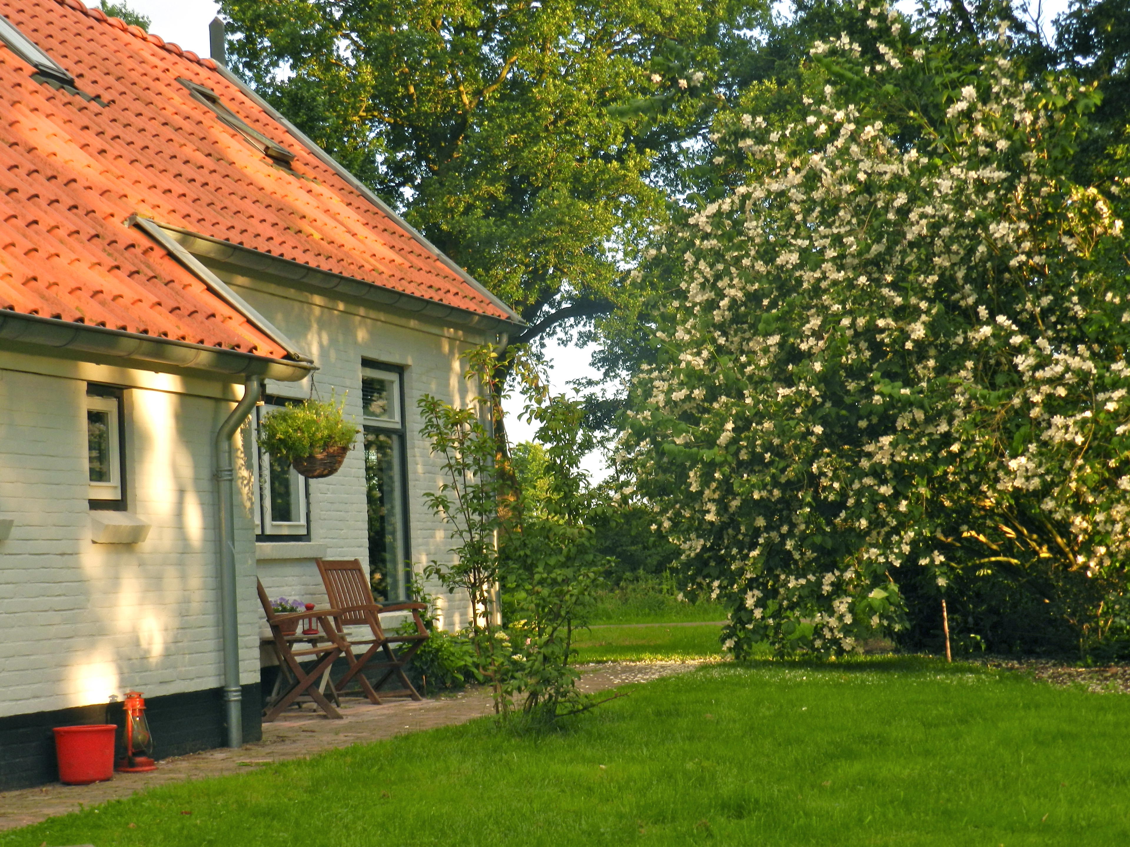 Natuurhuisje in Wapse