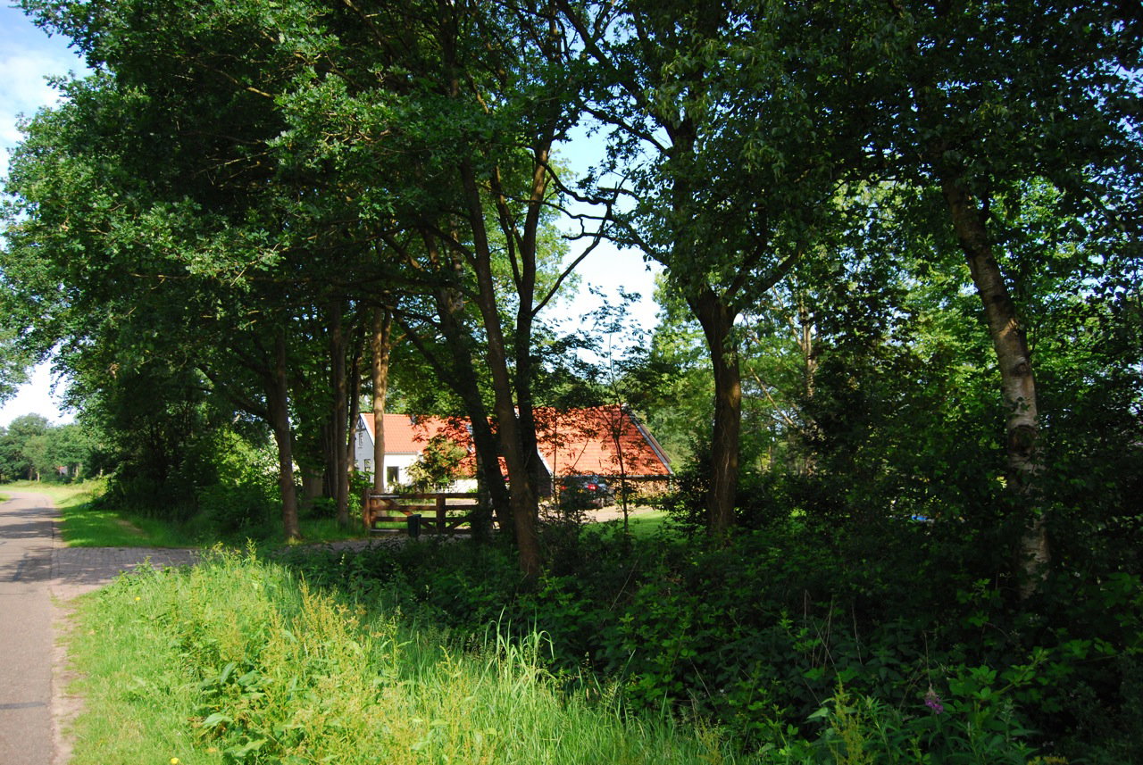 Maison nature à Wapse